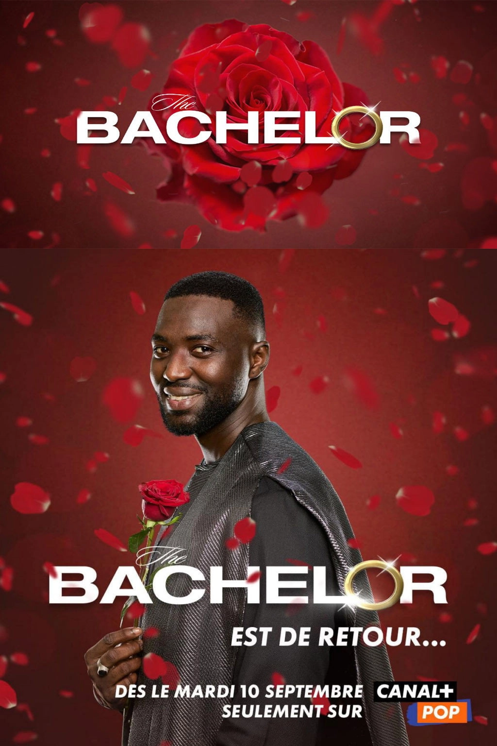 The Bachelor - Afrique