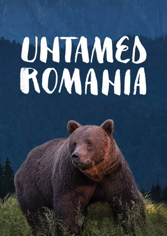 Untamed Romania