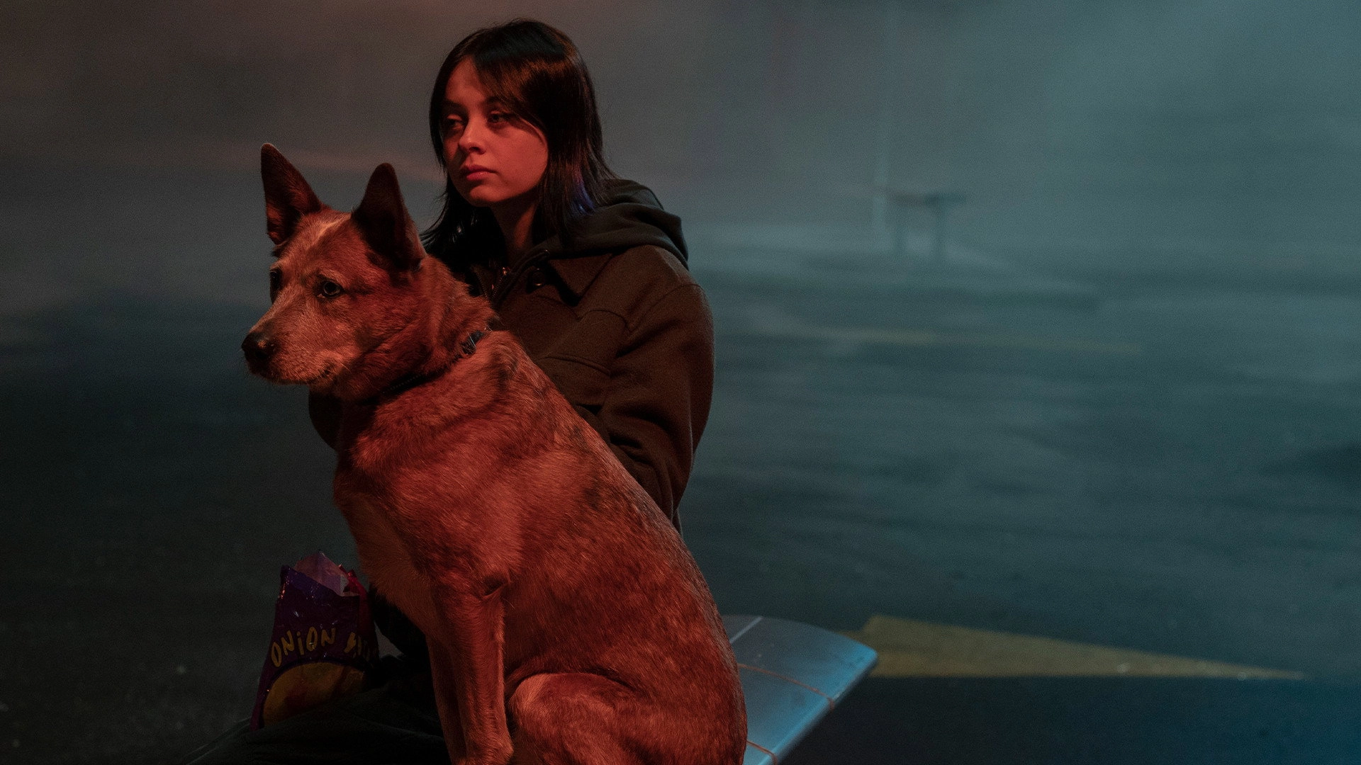 Orphan Black: Echoes