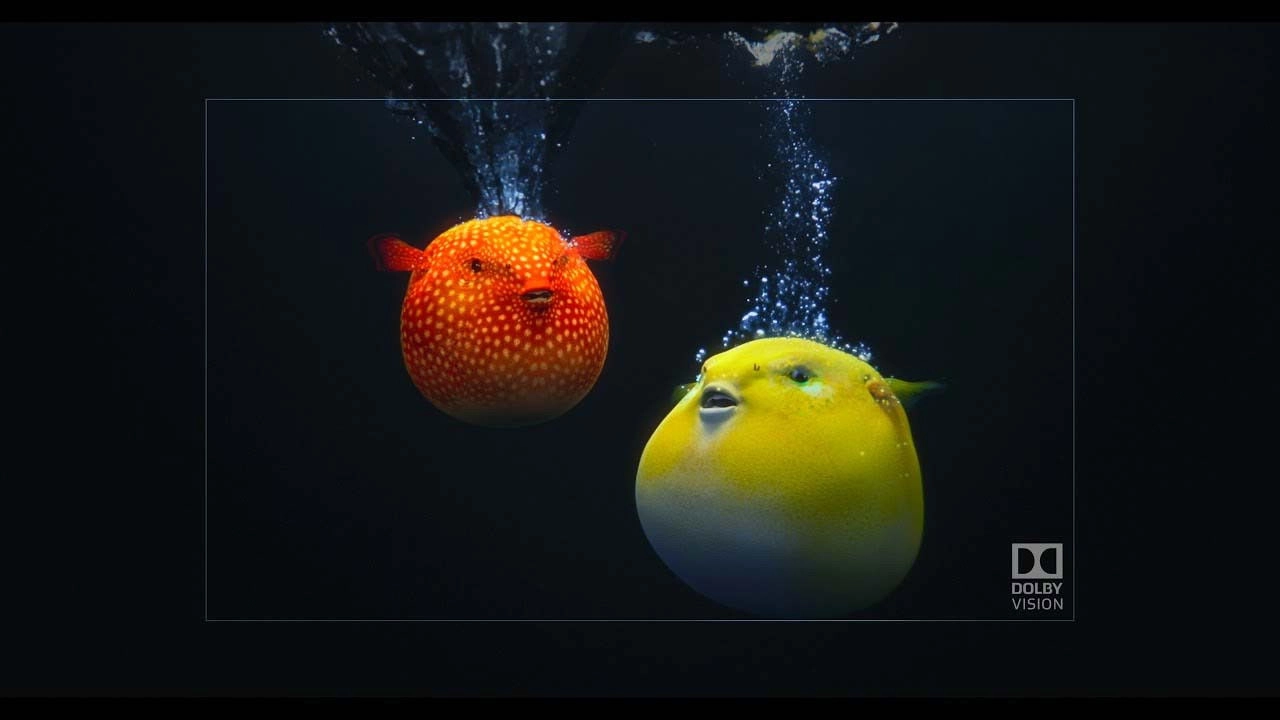 Inter-Pol