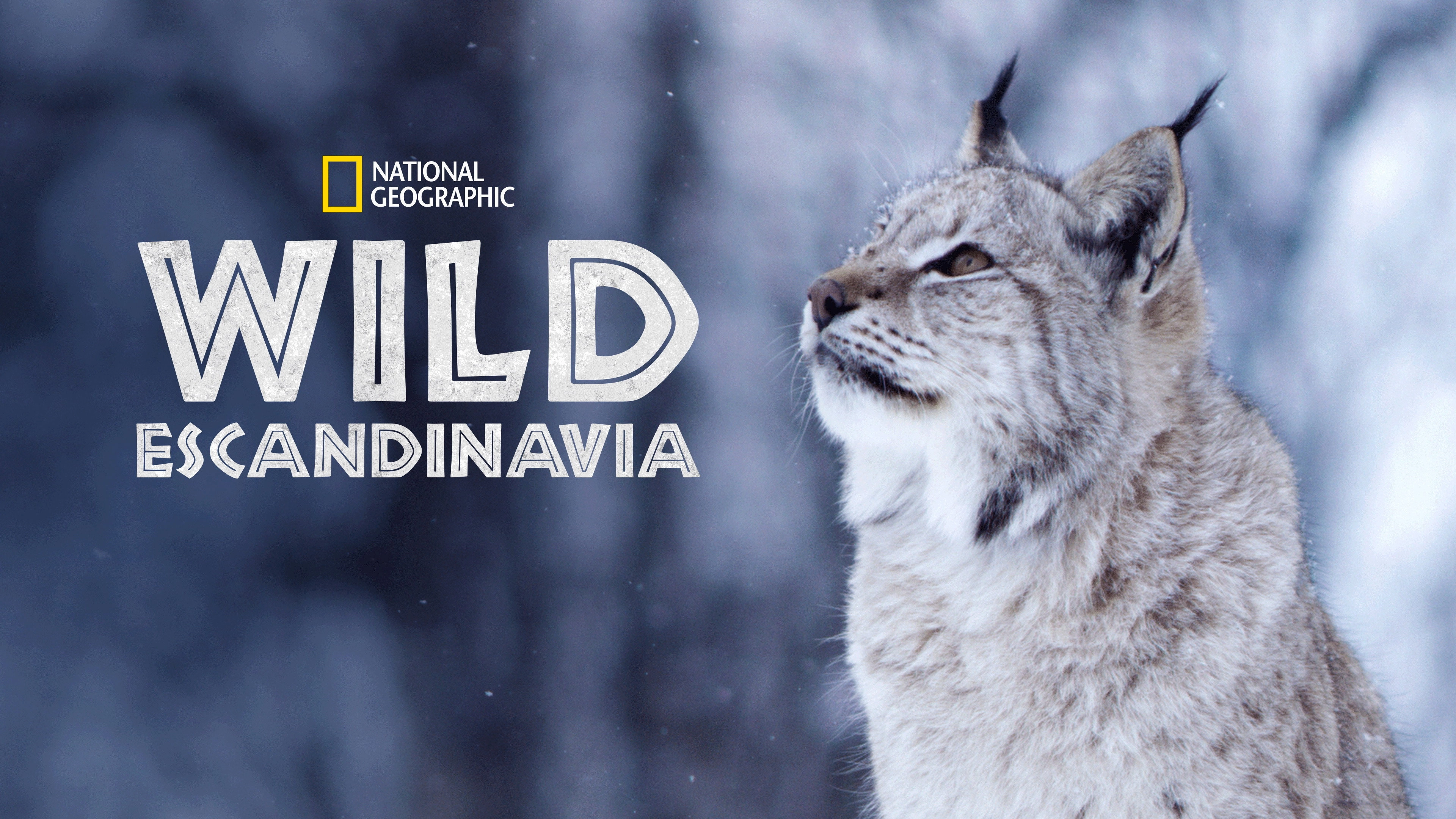 Wild Nordic