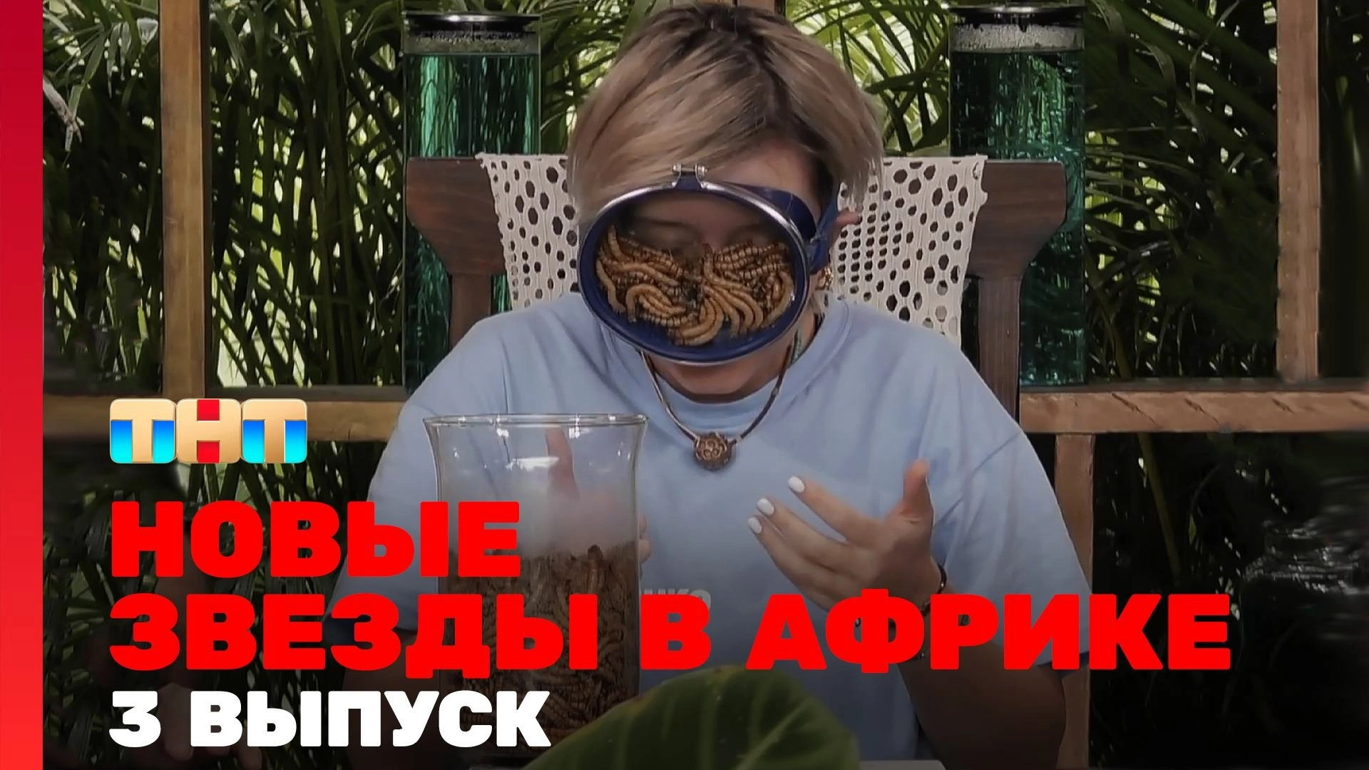 Звёзды в Африке