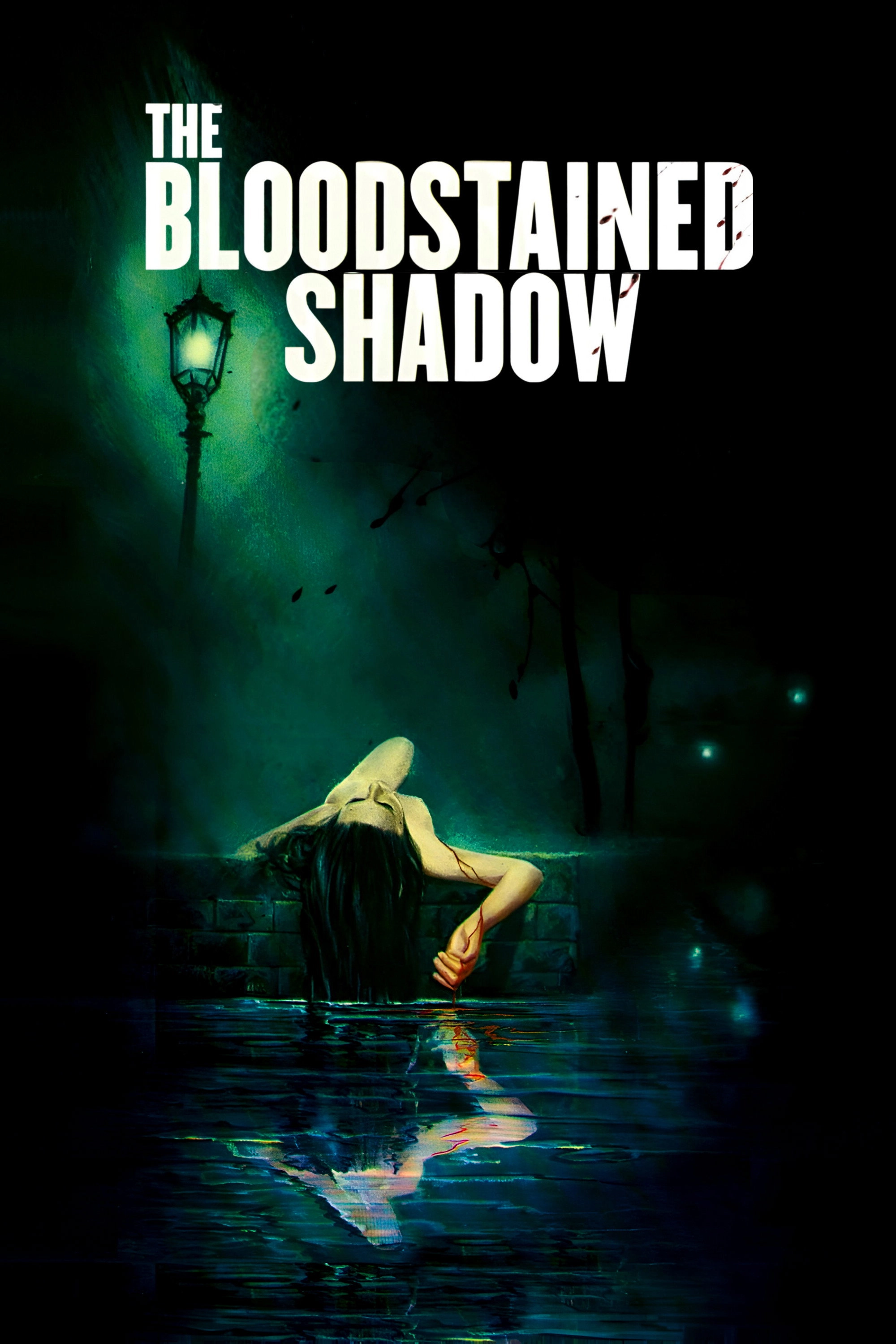 The Bloodstained Shadow