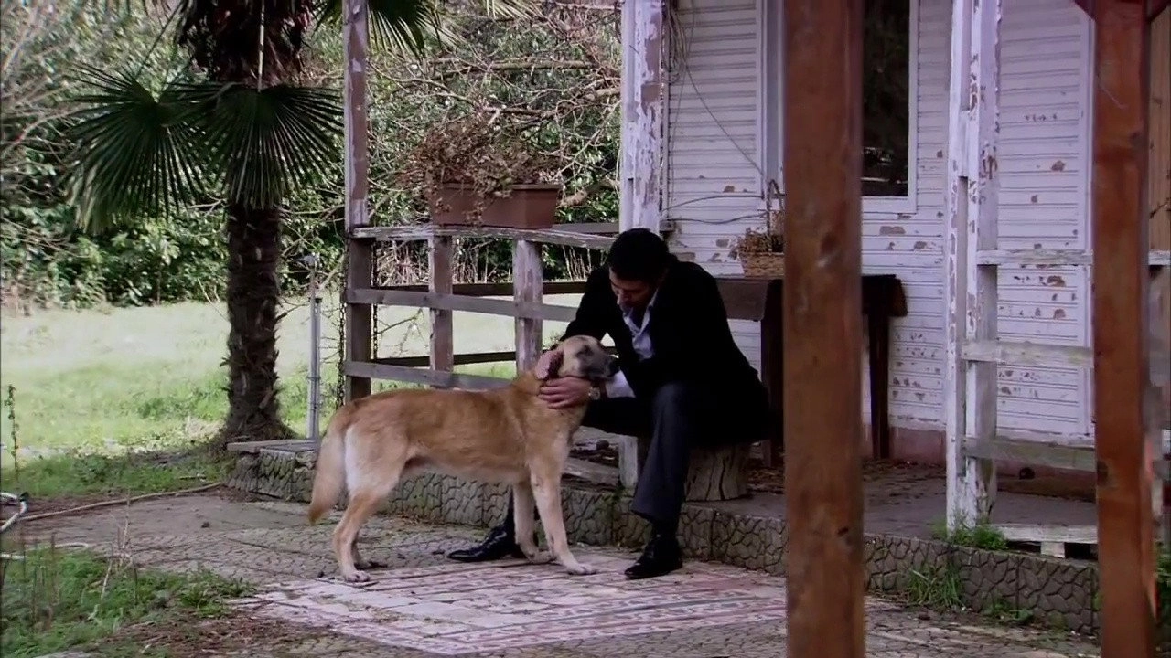 Ezel