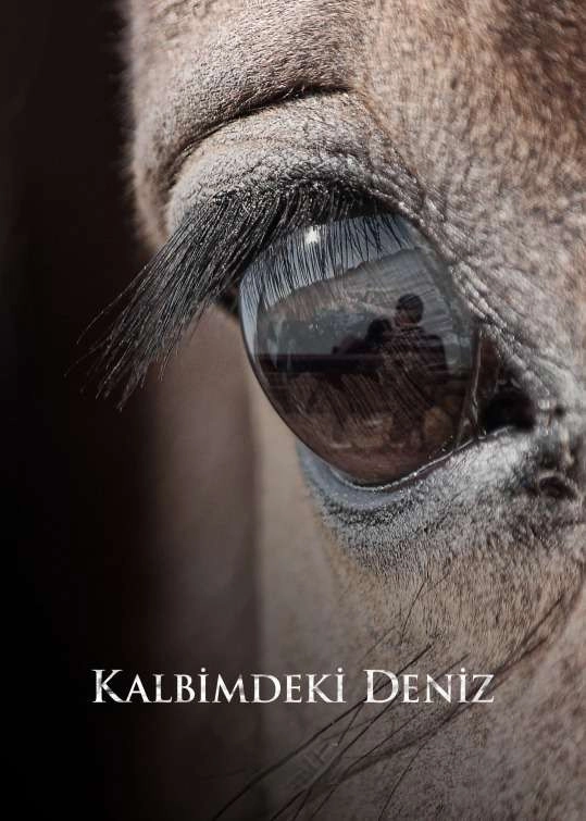 Deniz Inside My Heart