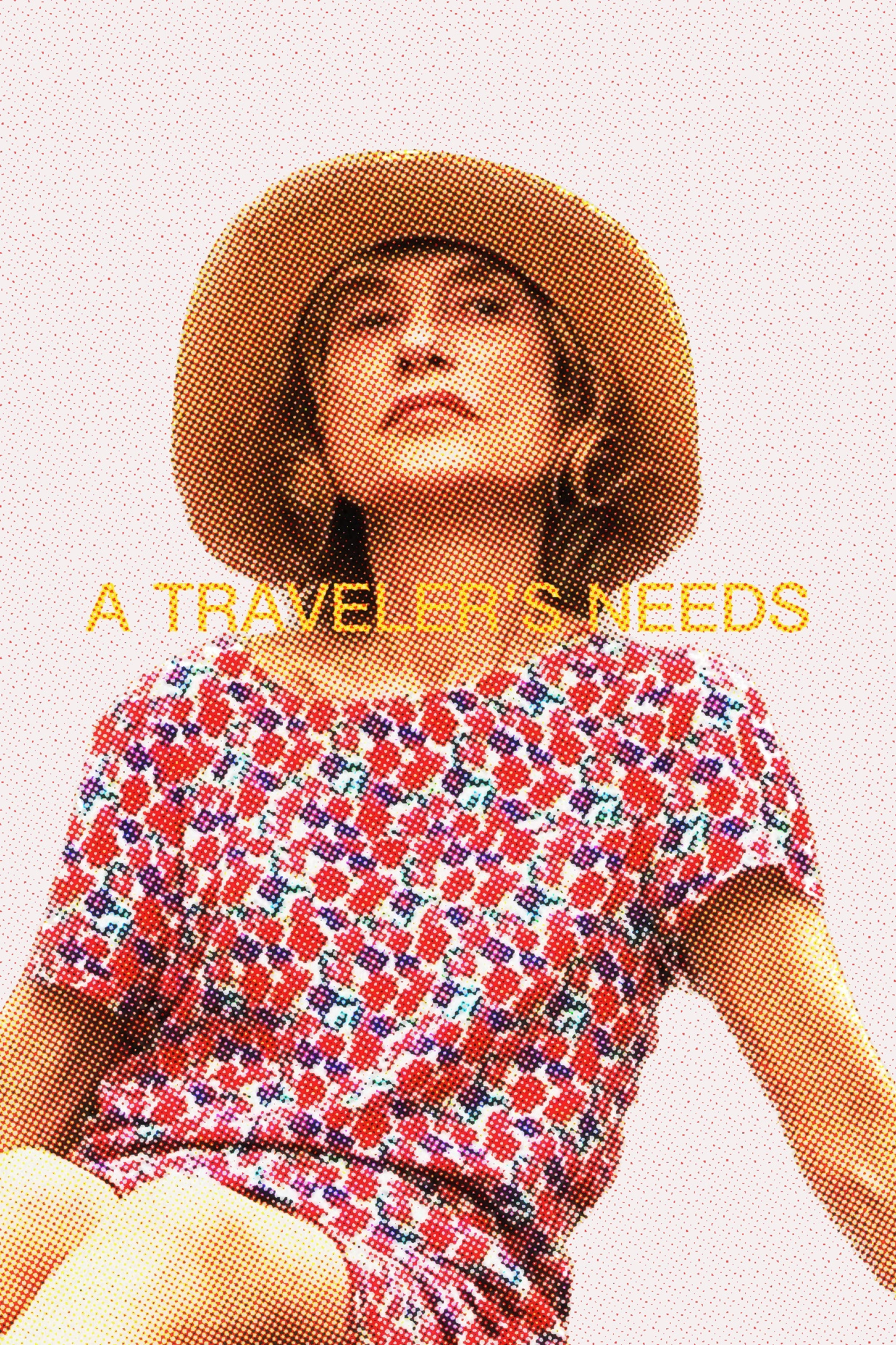 A Traveler's Needs