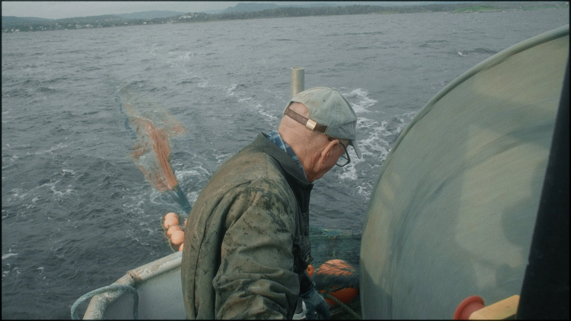 Caught in the net