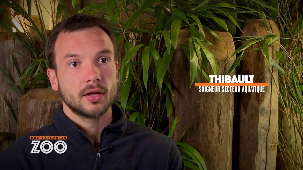 Une saison au zoo