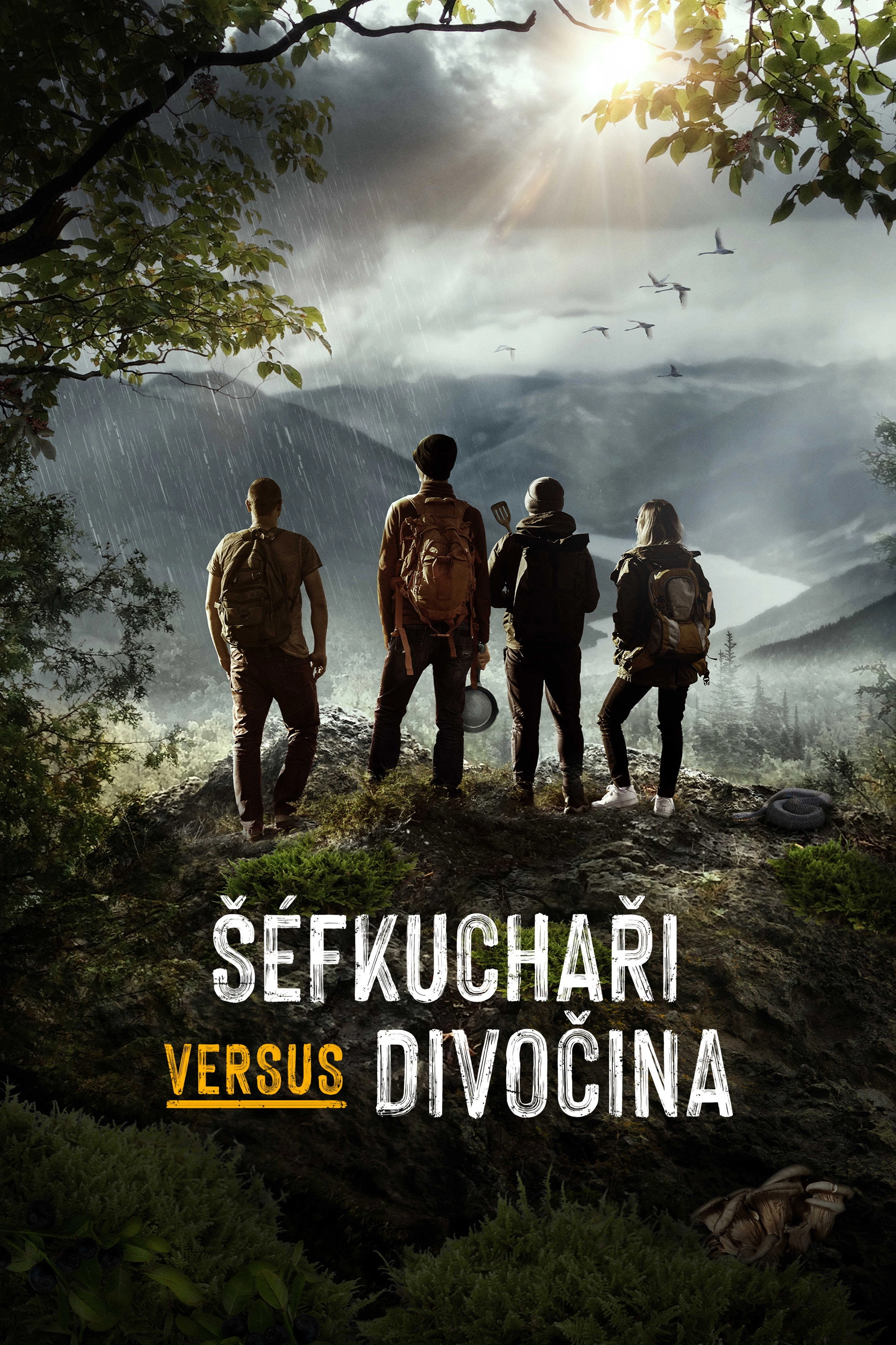 Chefs vs Wild