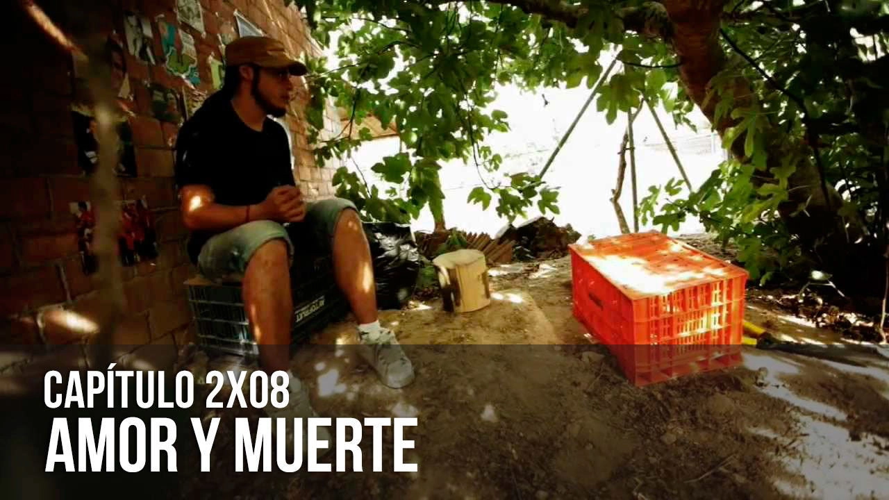 Malviviendo