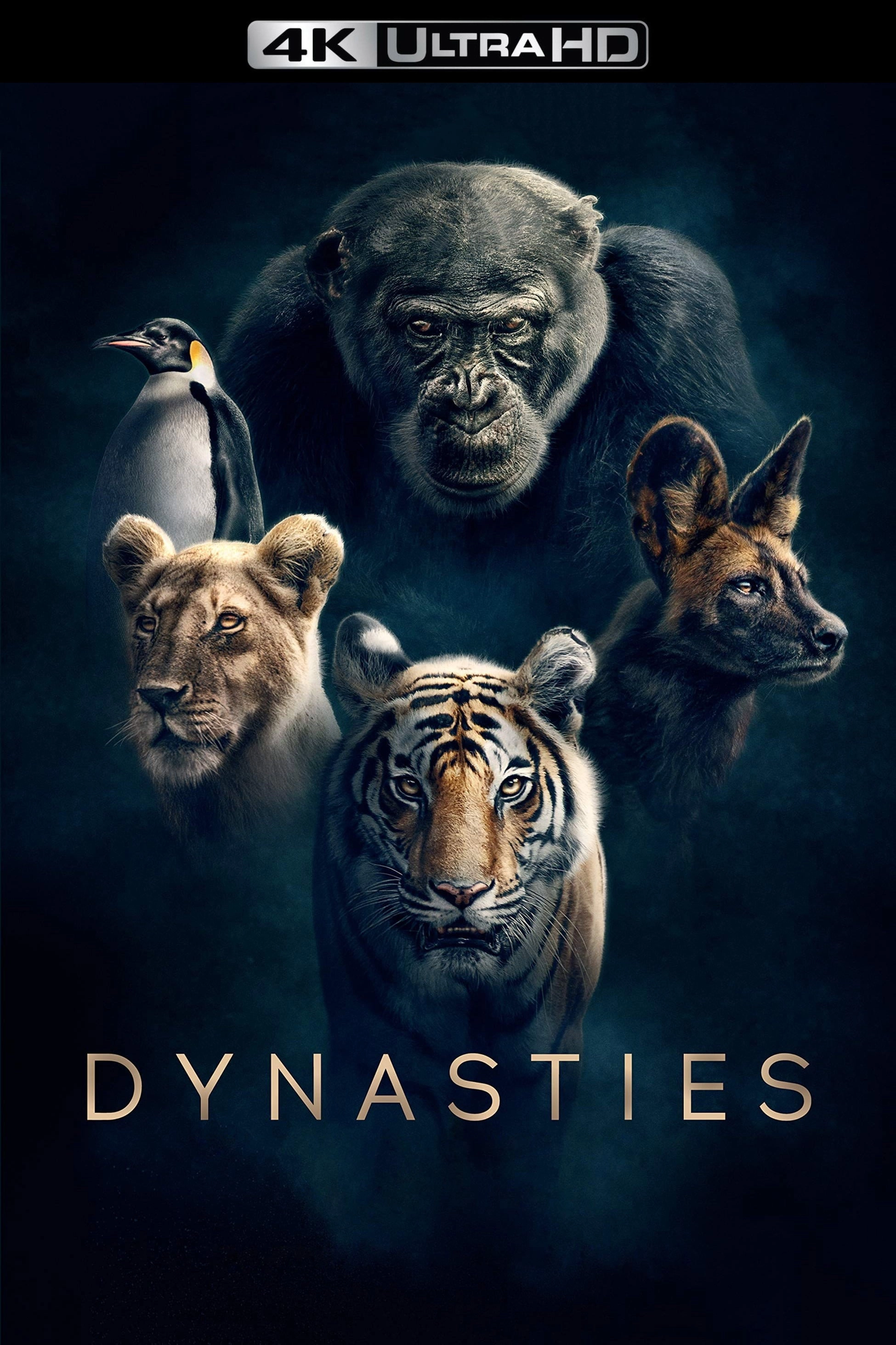 Dynasties