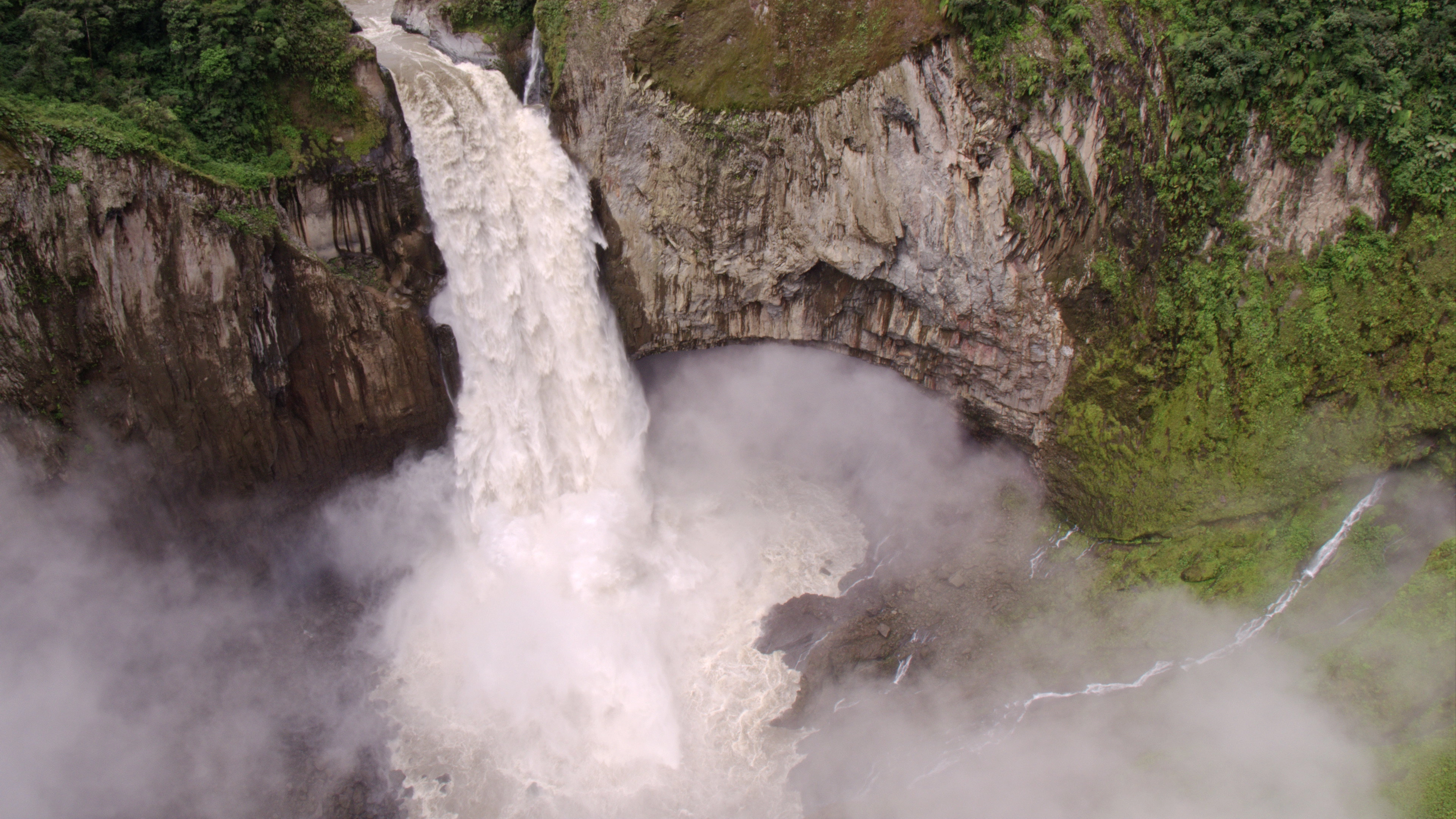 The Wild Andes