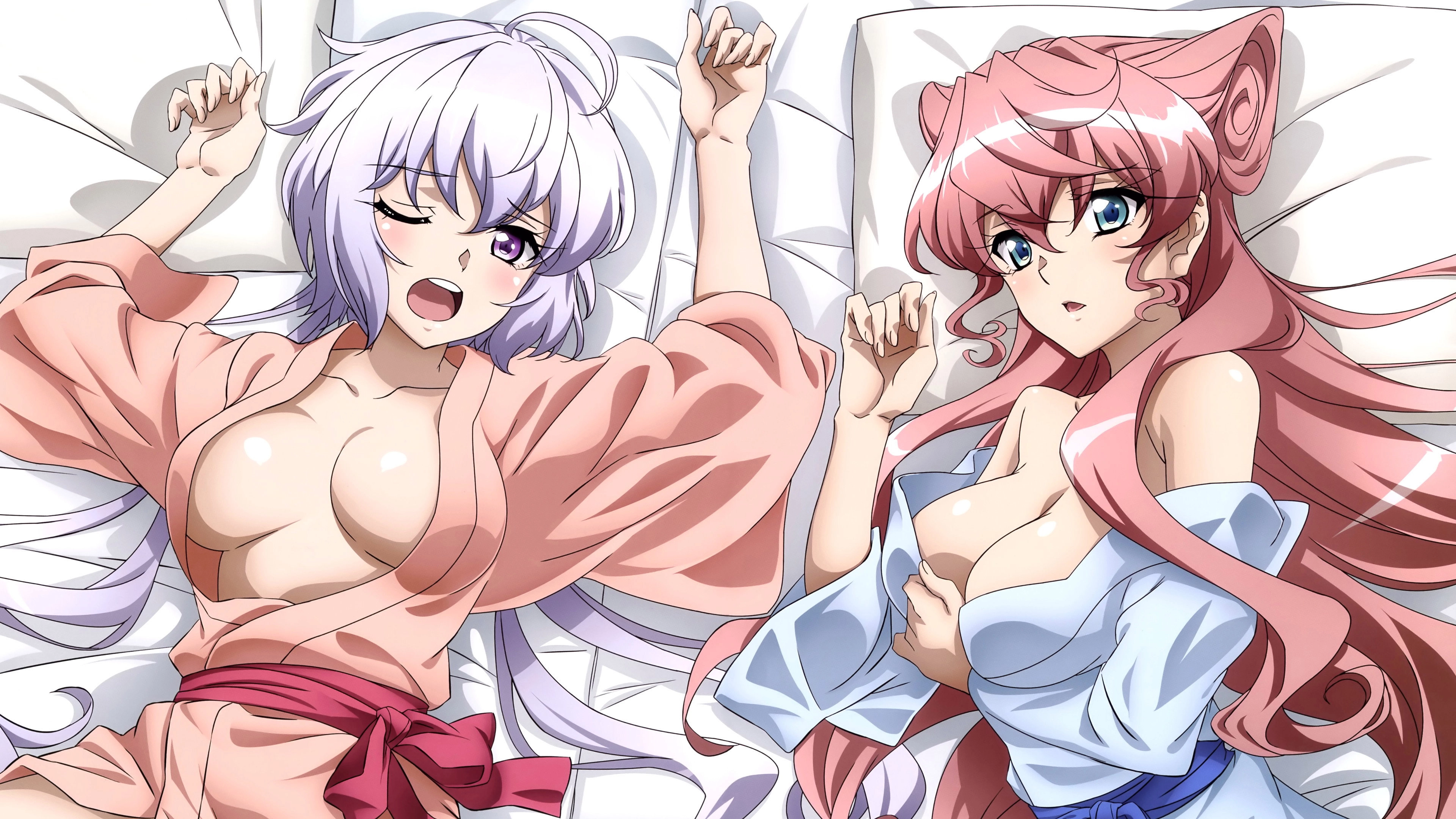 Superb Song of the Valkyries: Symphogear