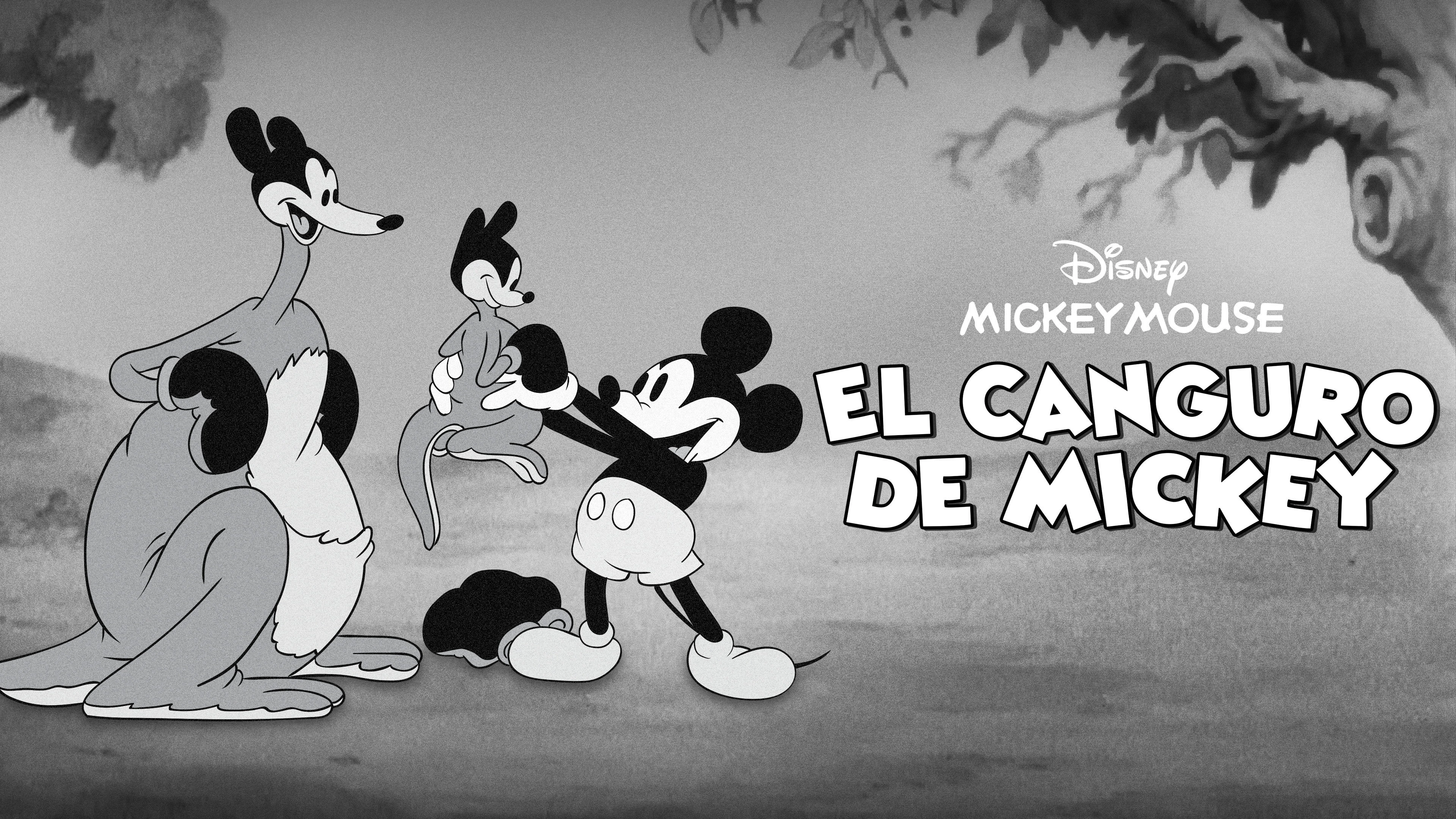 Mickey's Kangaroo
