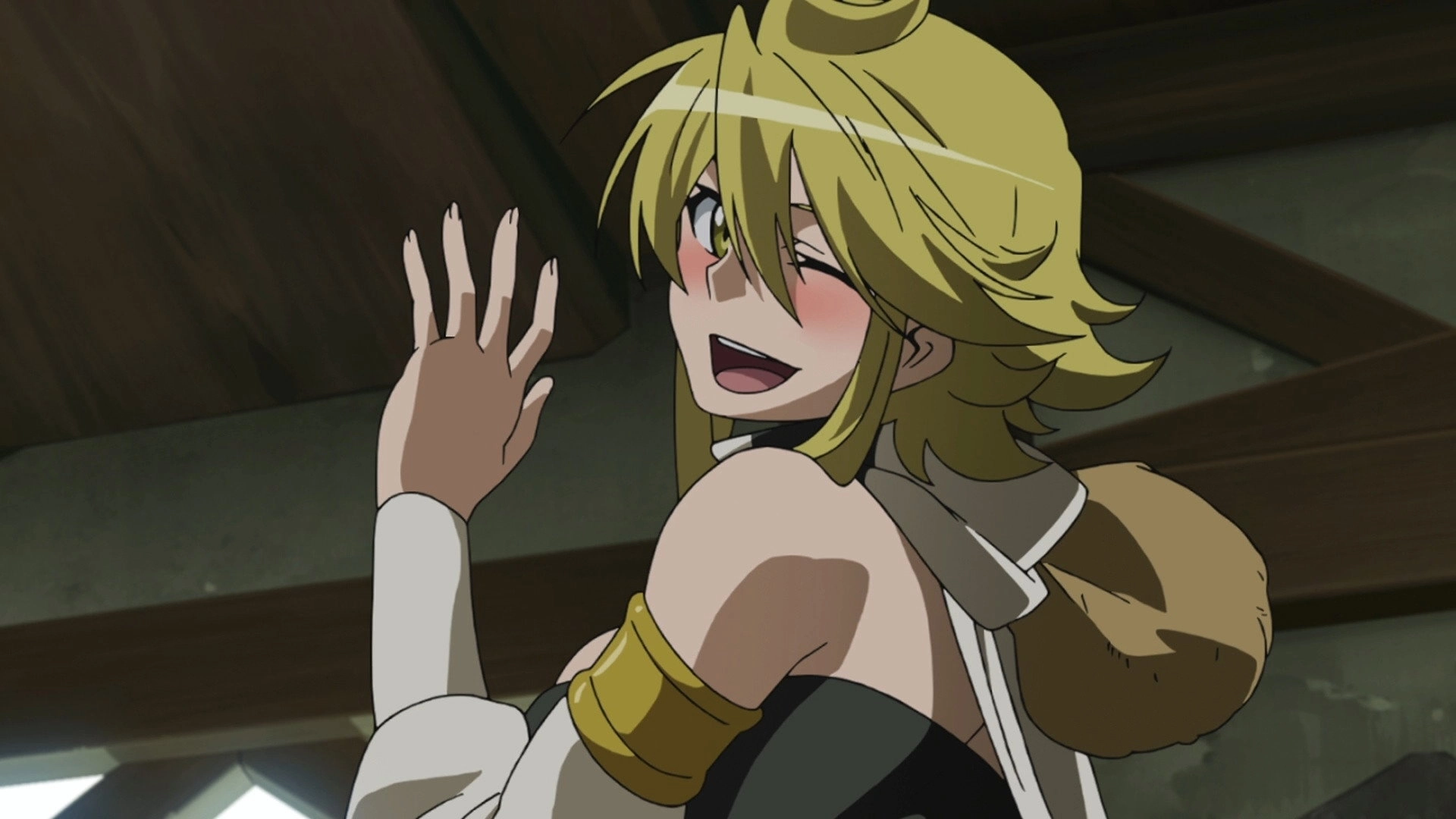 Akame ga Kill!