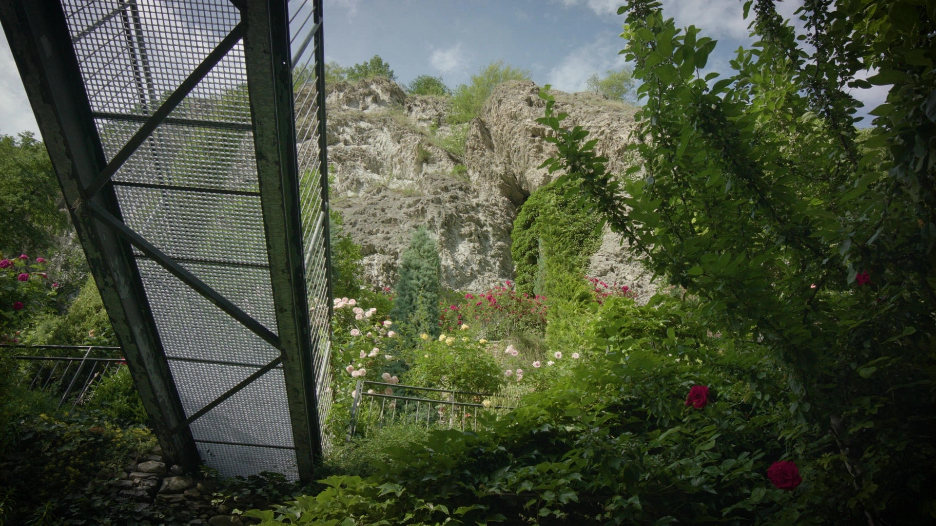 Hinter den Hecken
