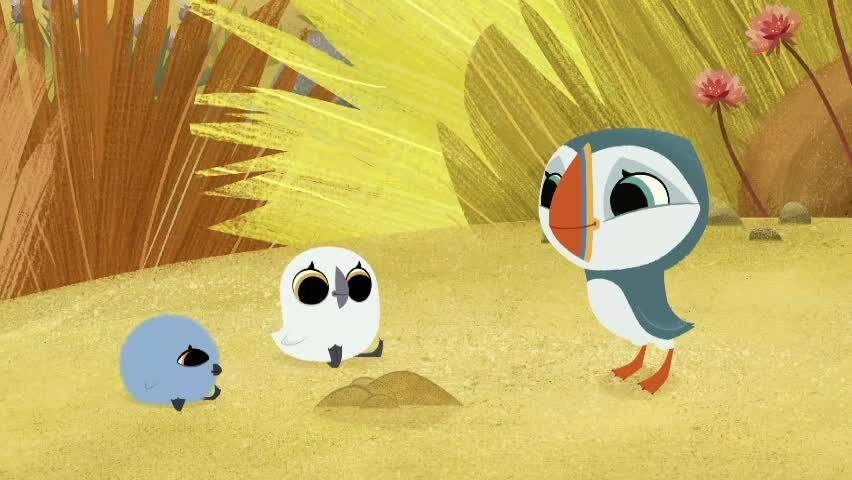Puffin Rock