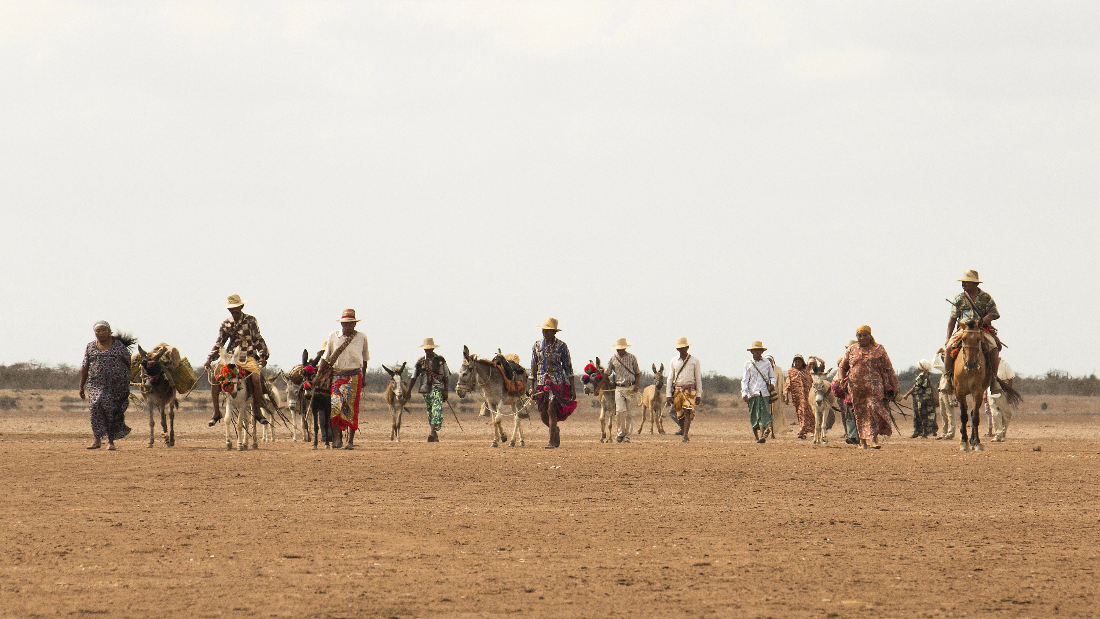 Birds of Passage