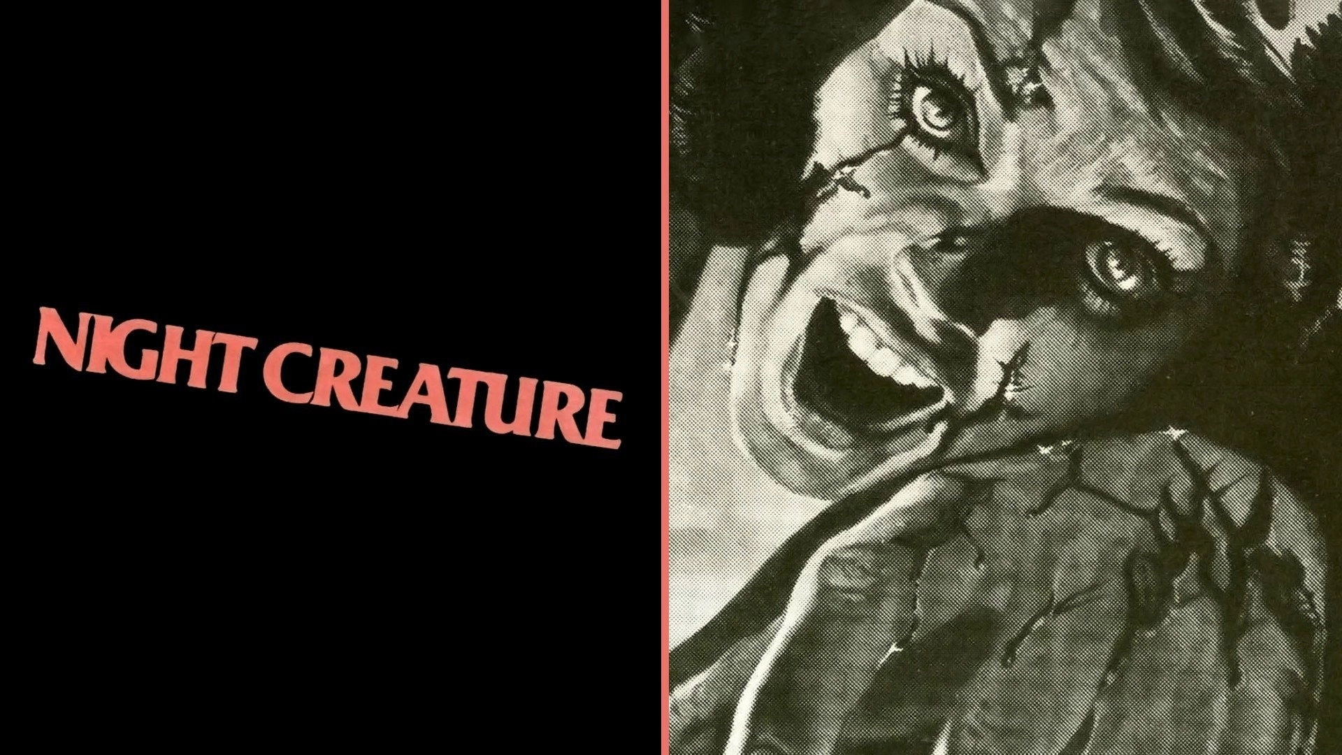 Night Creature