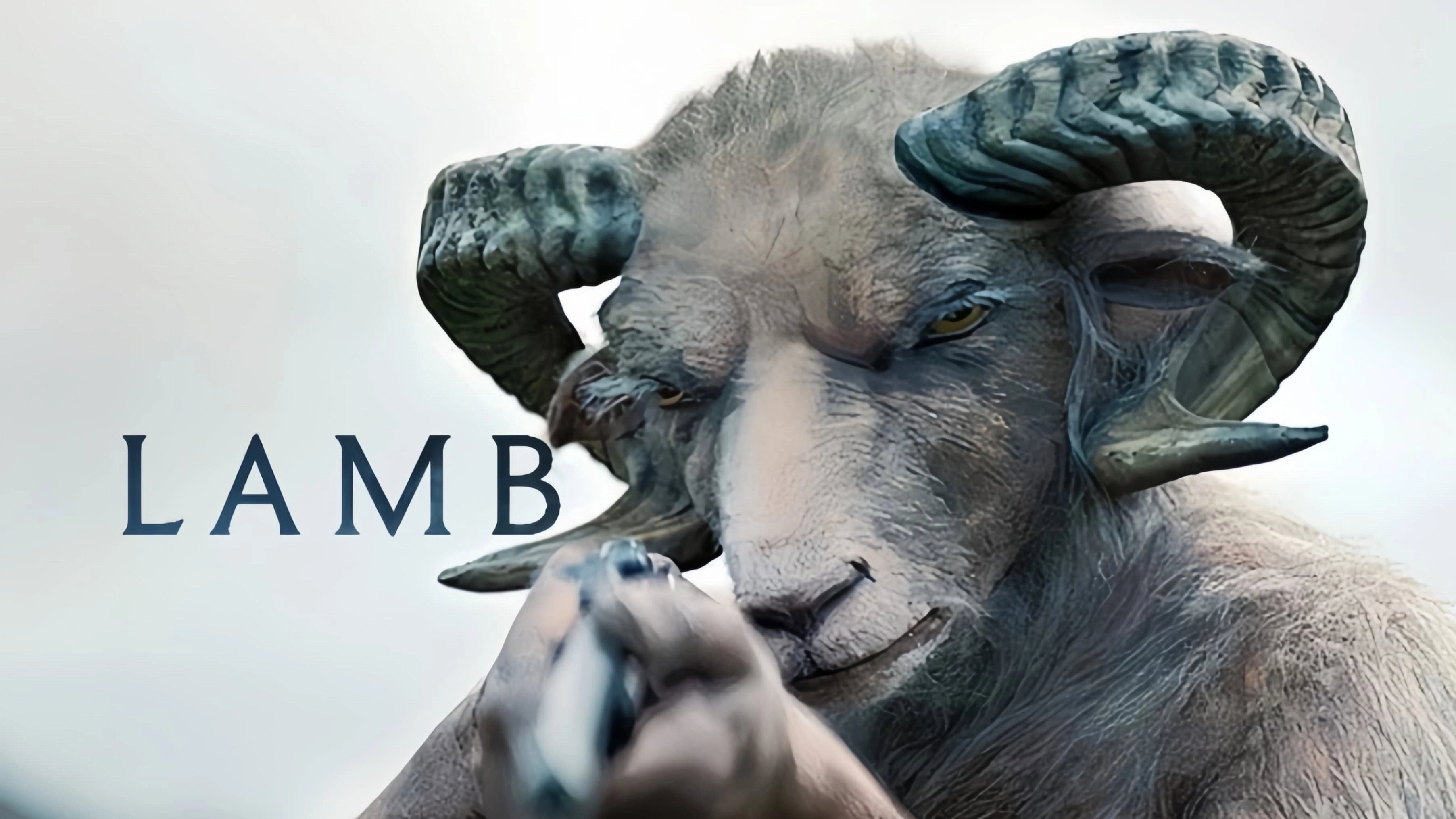 Lamb