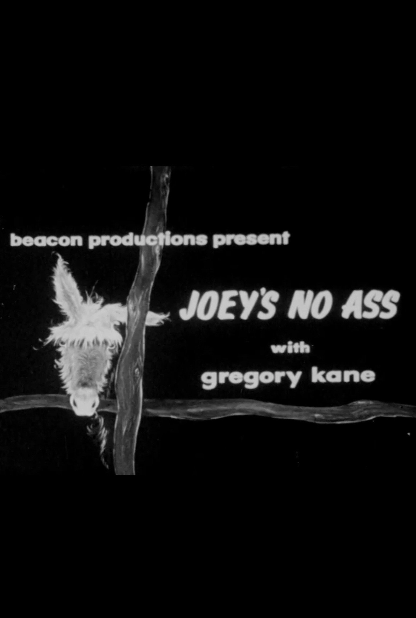 Joey's No Ass