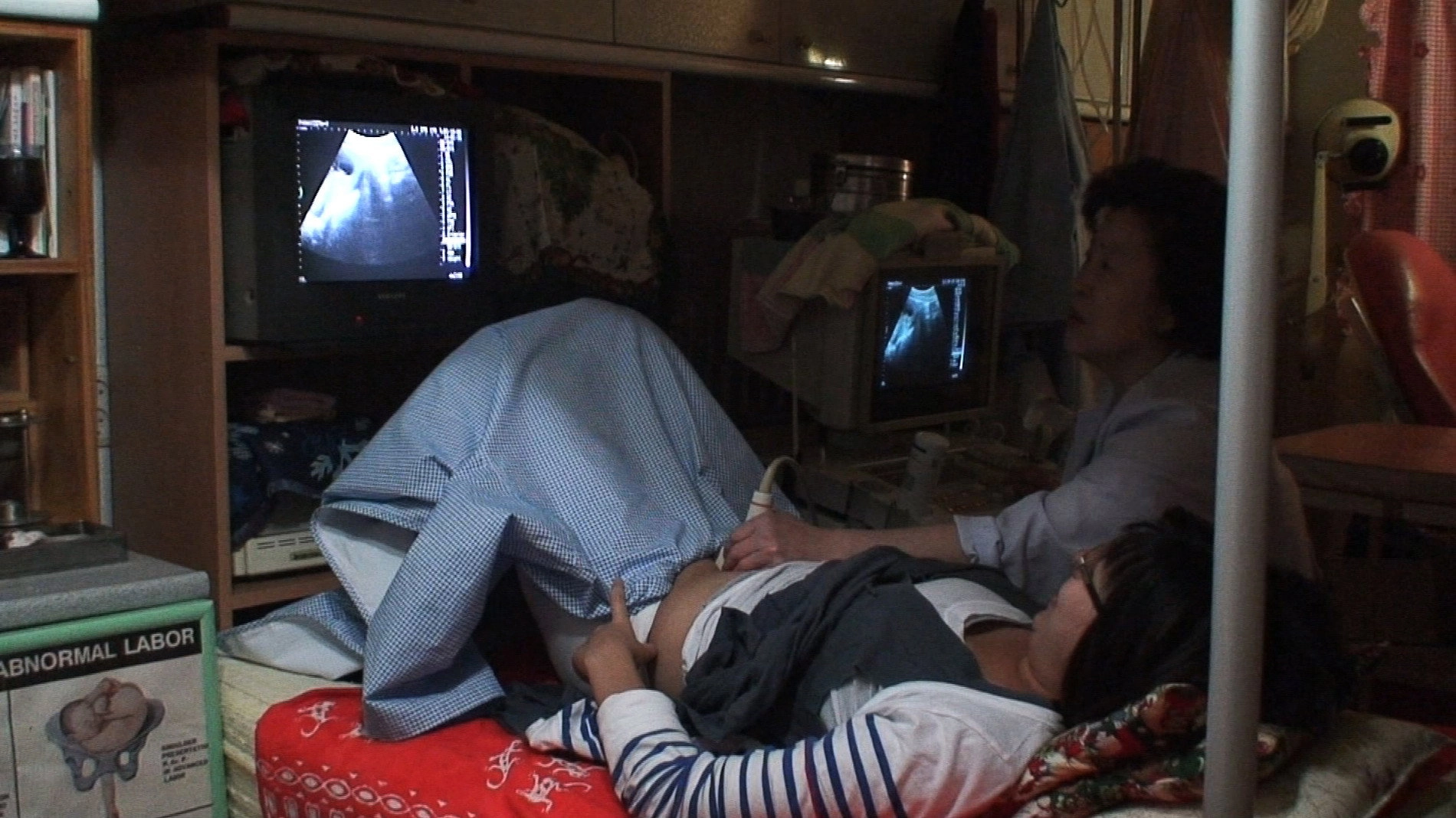 To Dye For: The Documentary