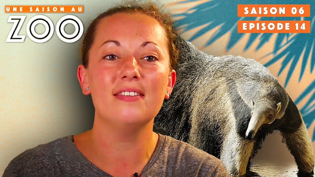 Une saison au zoo