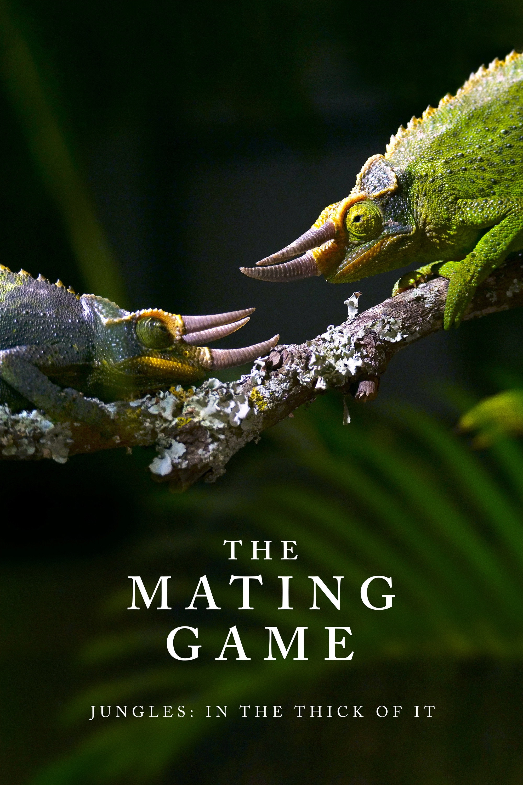 The Mating Game