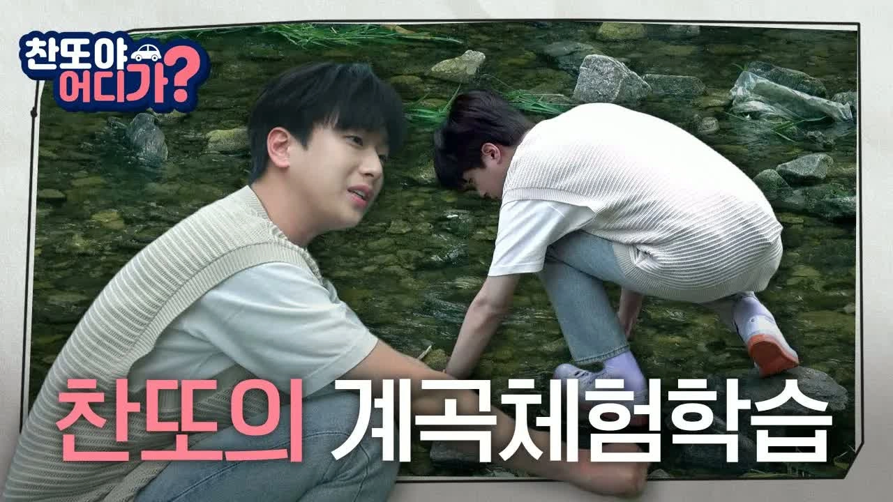 찬또야 어디가?