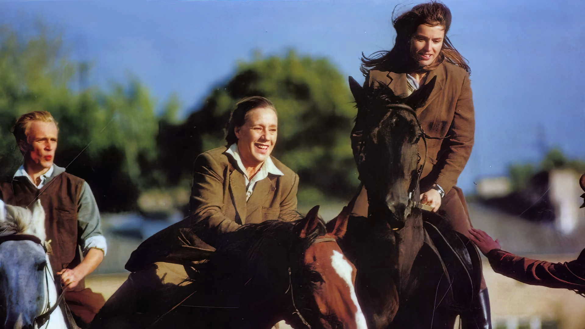 At Full Gallop