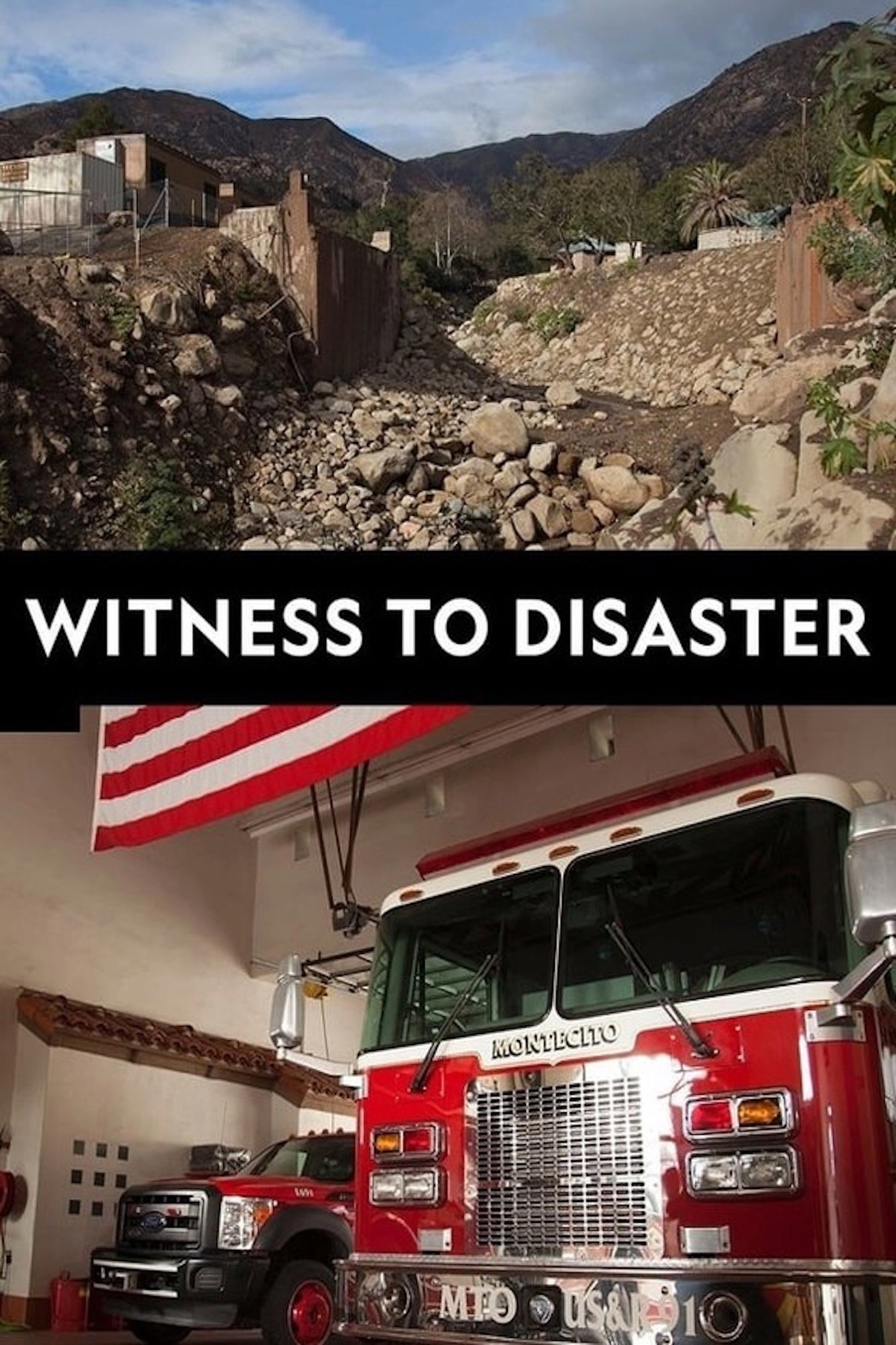 Witness to Disaster
