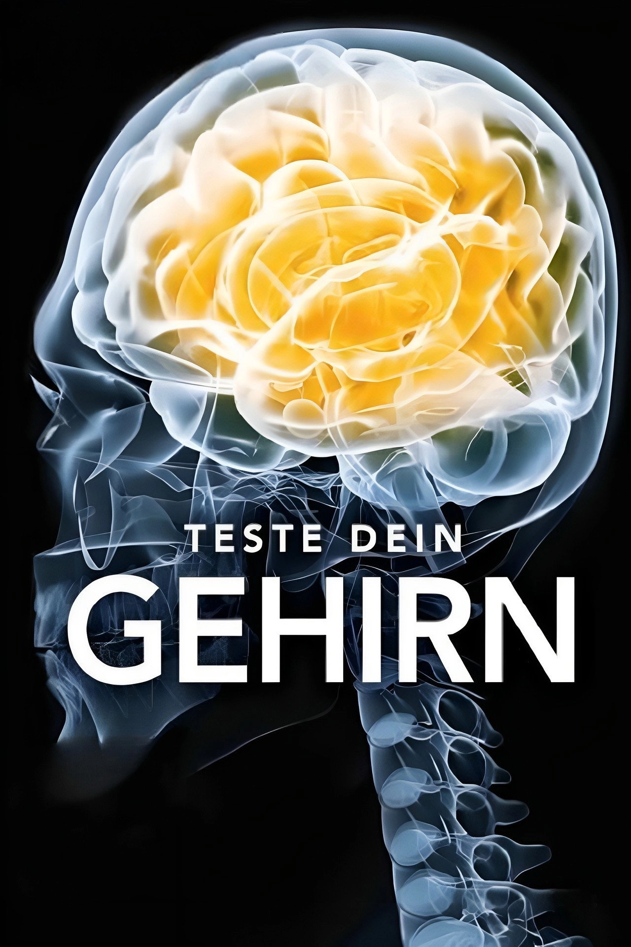 Test Your Brain