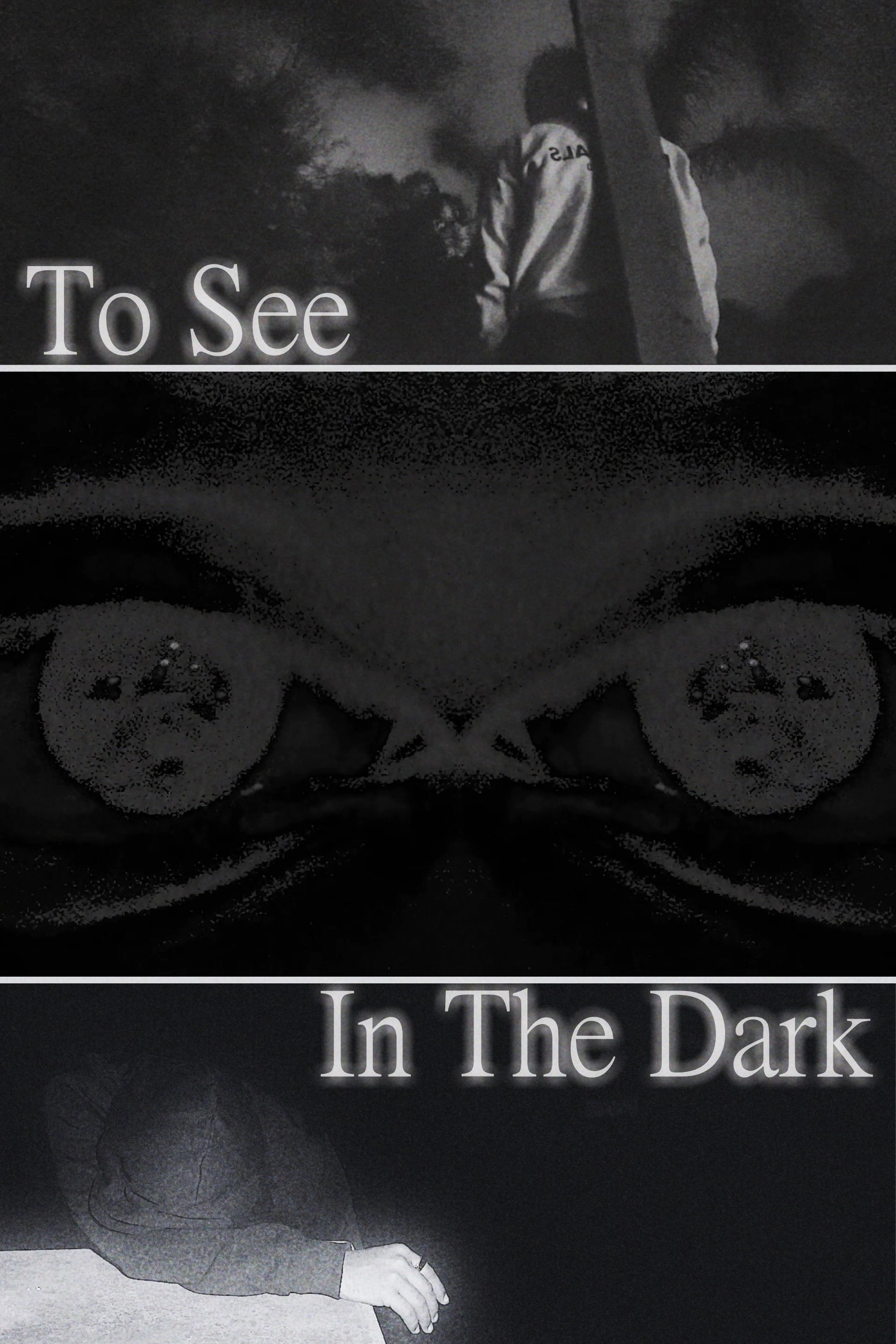 To See In The Dark