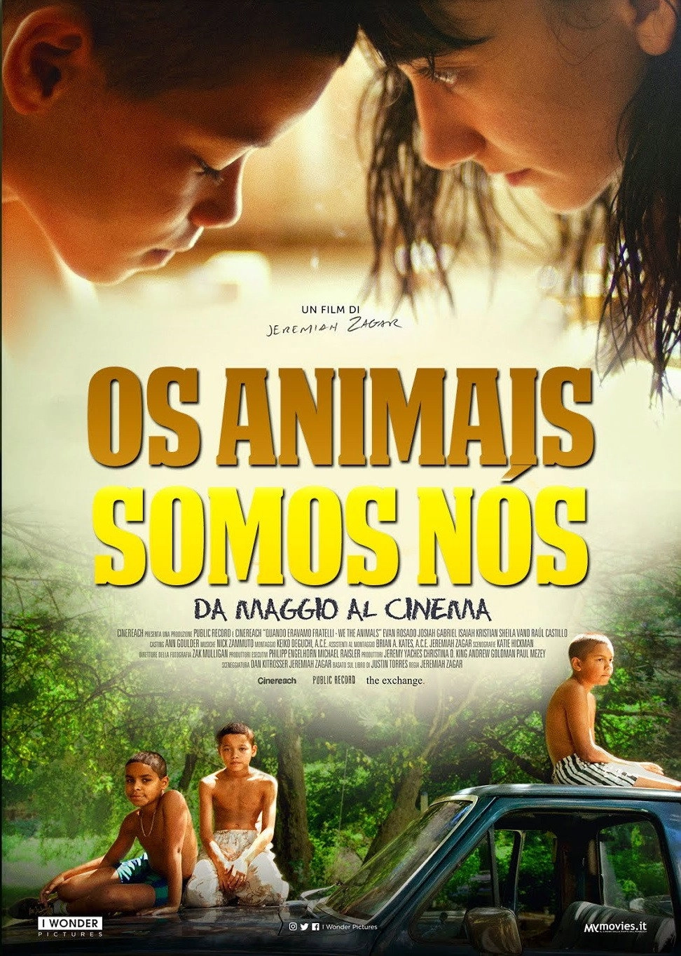 We the Animals