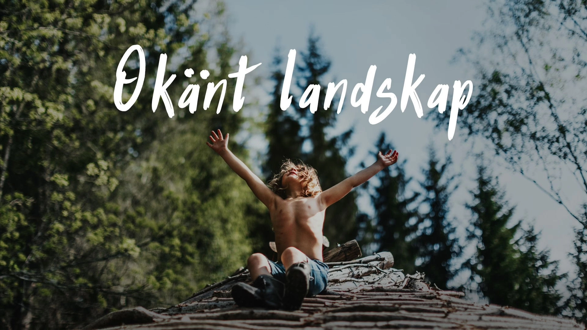 A New Kind of Wilderness
