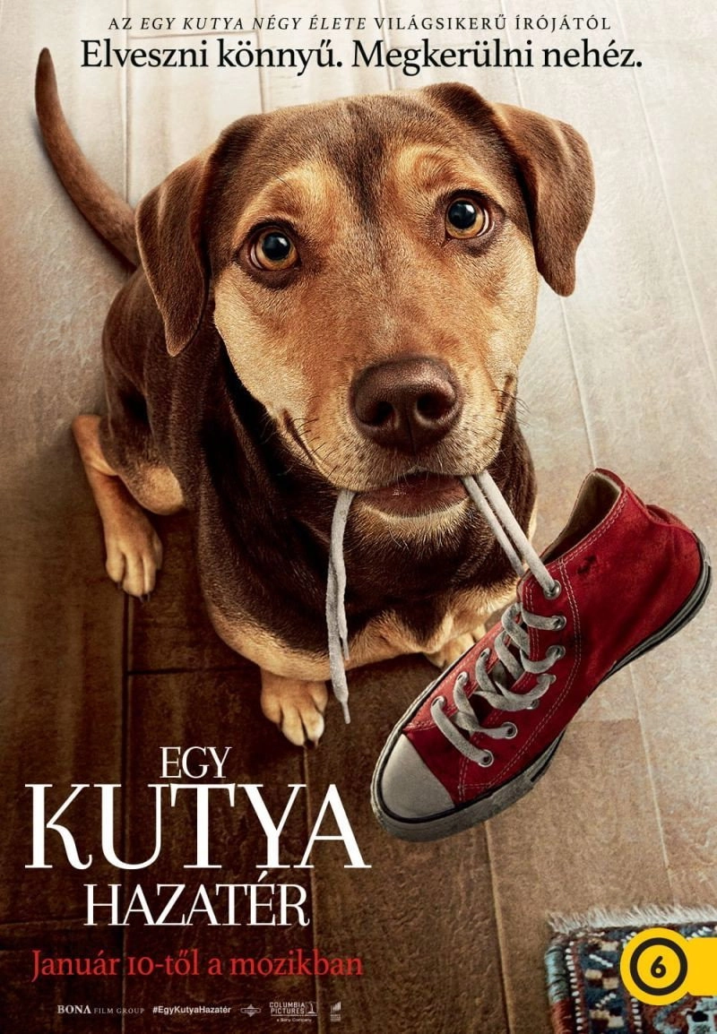A Dog's Way Home