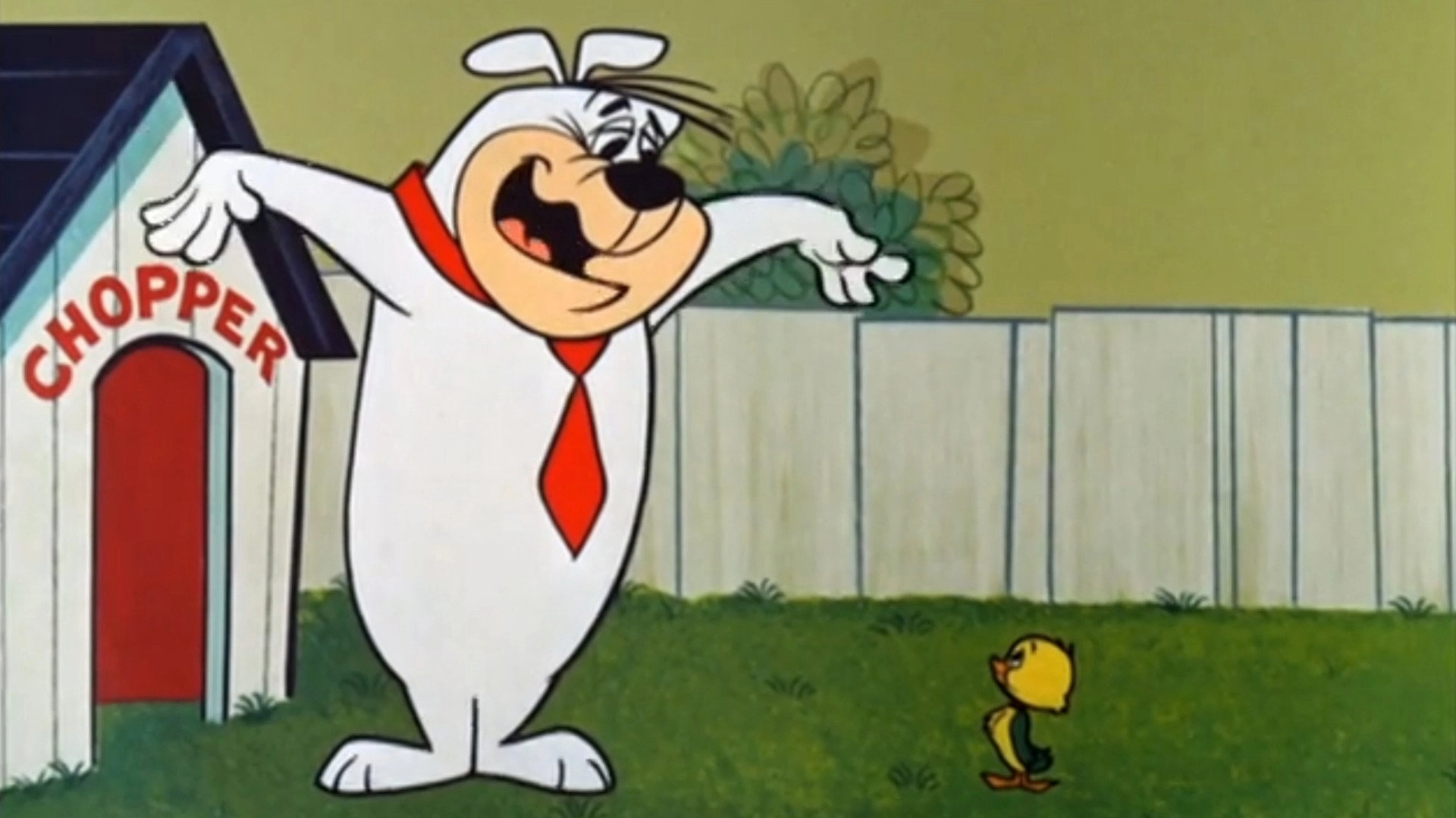The Yogi Bear Show