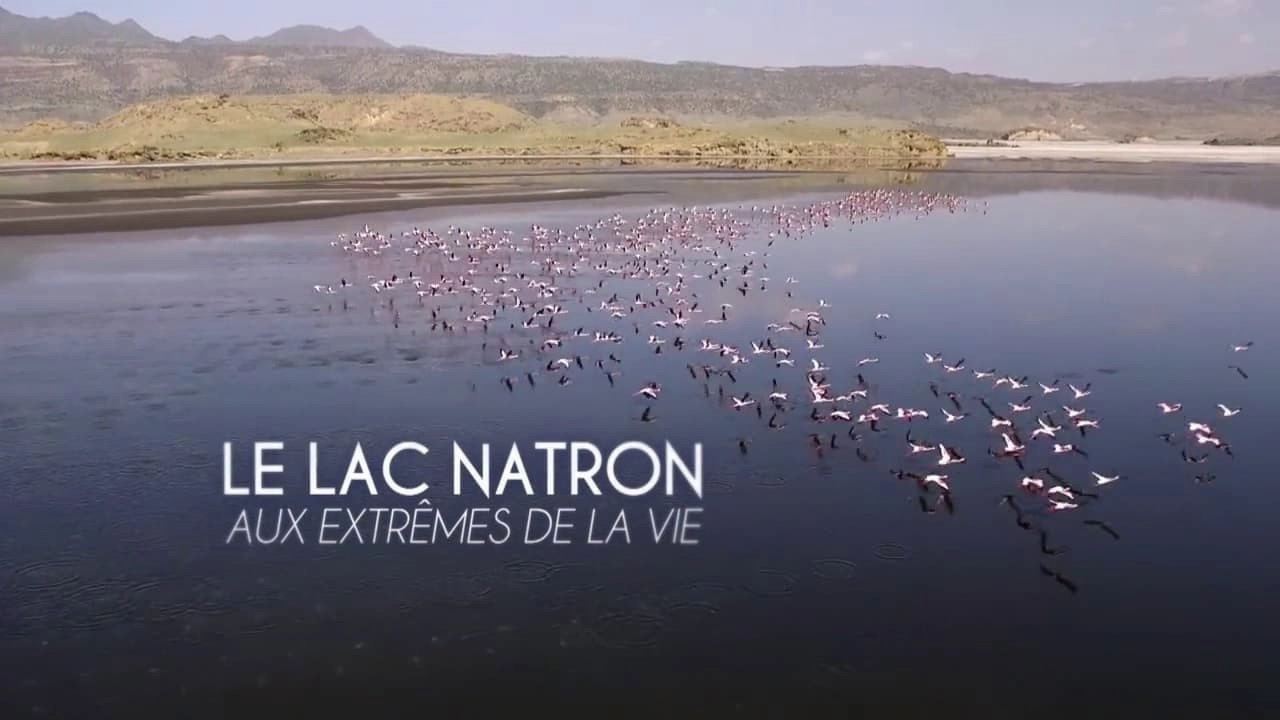 Secret Life of Lakes