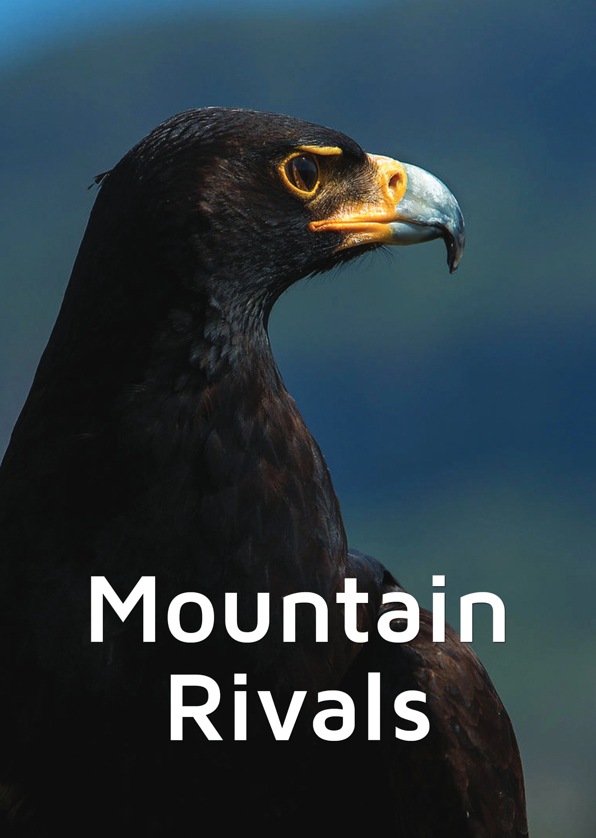 Mountain Rivals
