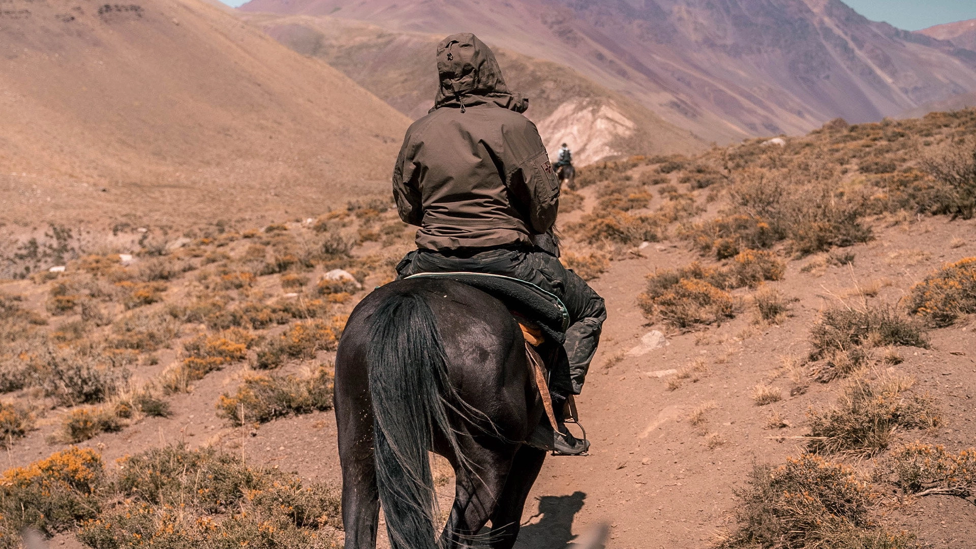El palo