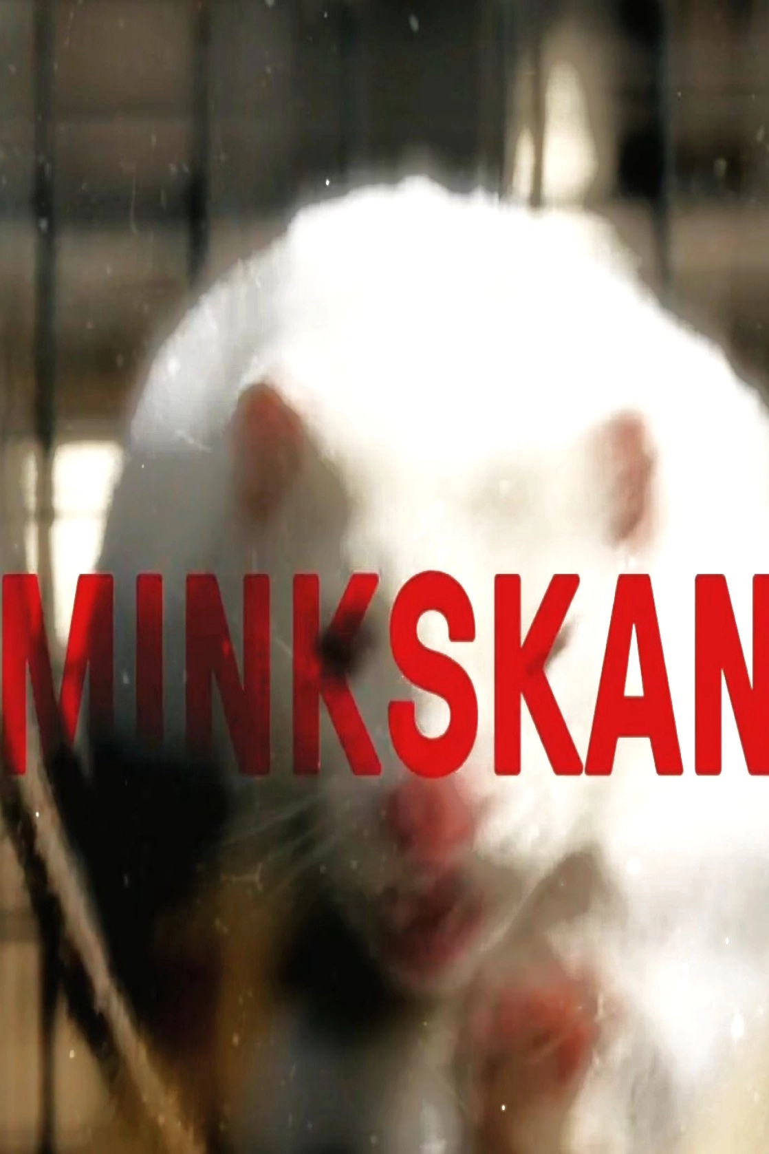 Minkskandalen - Afgørelsens time