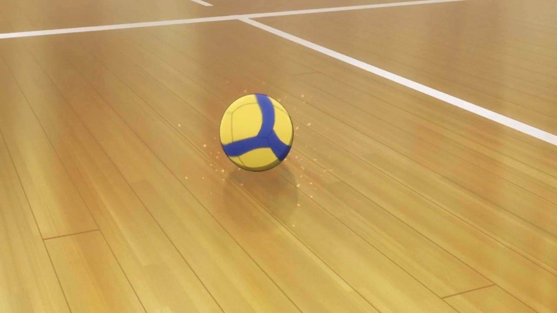 2.43: Seiin High School Boys Volleyball Team