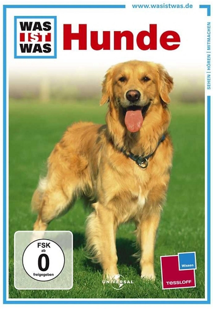 Damen tango