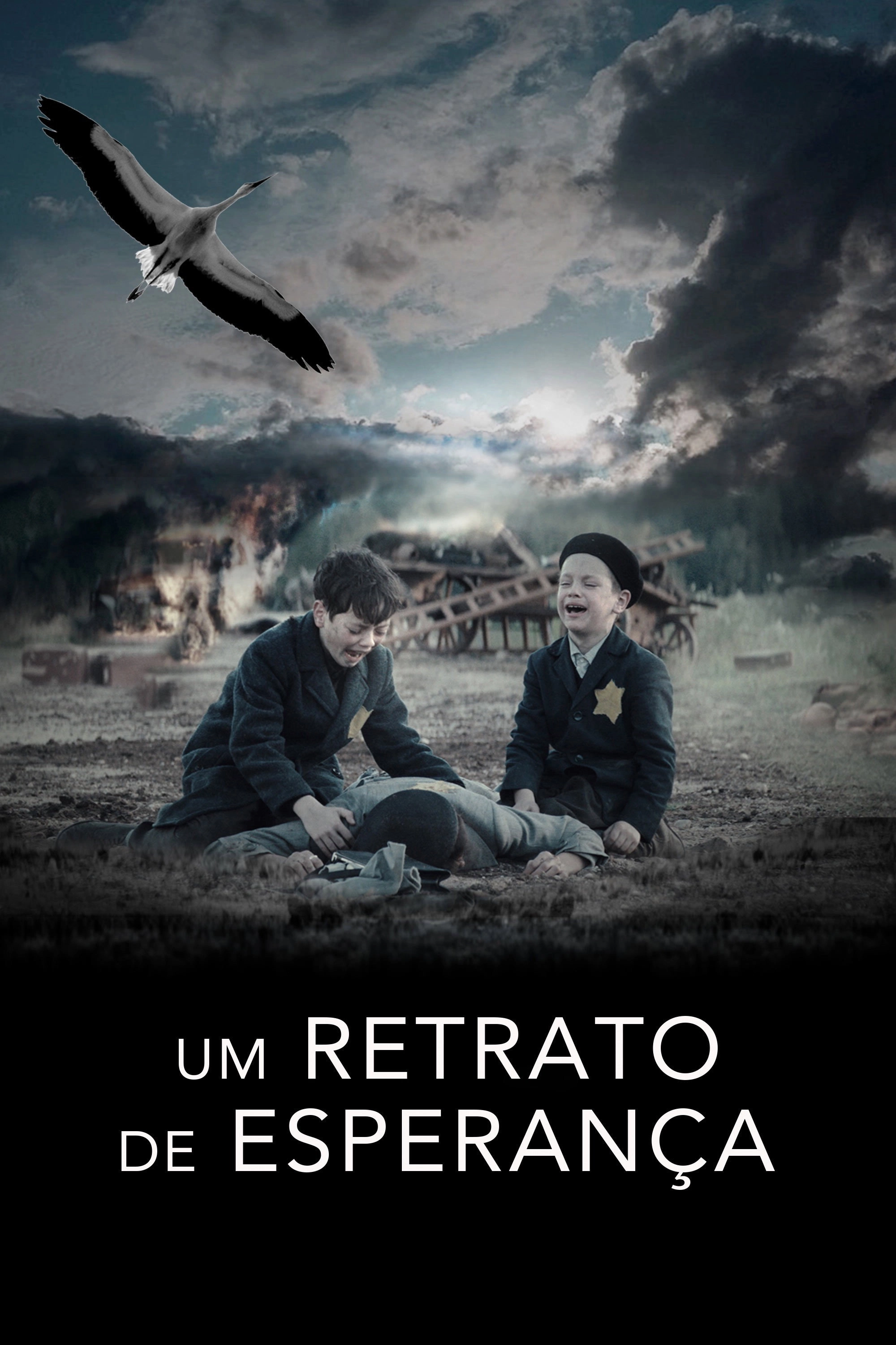 Stork of Hope