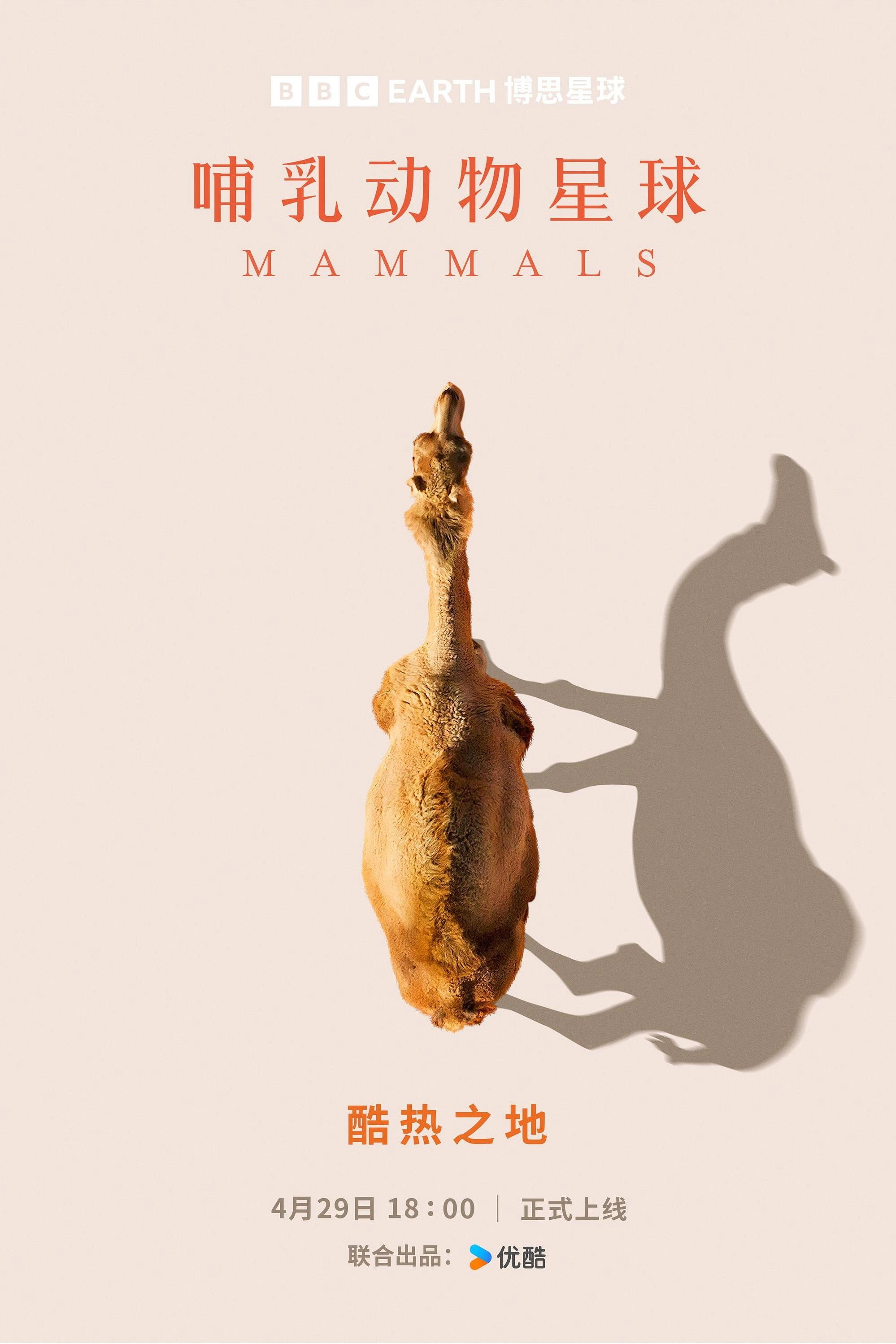Mammals