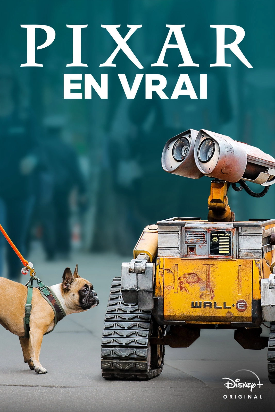 Pixar in Real Life