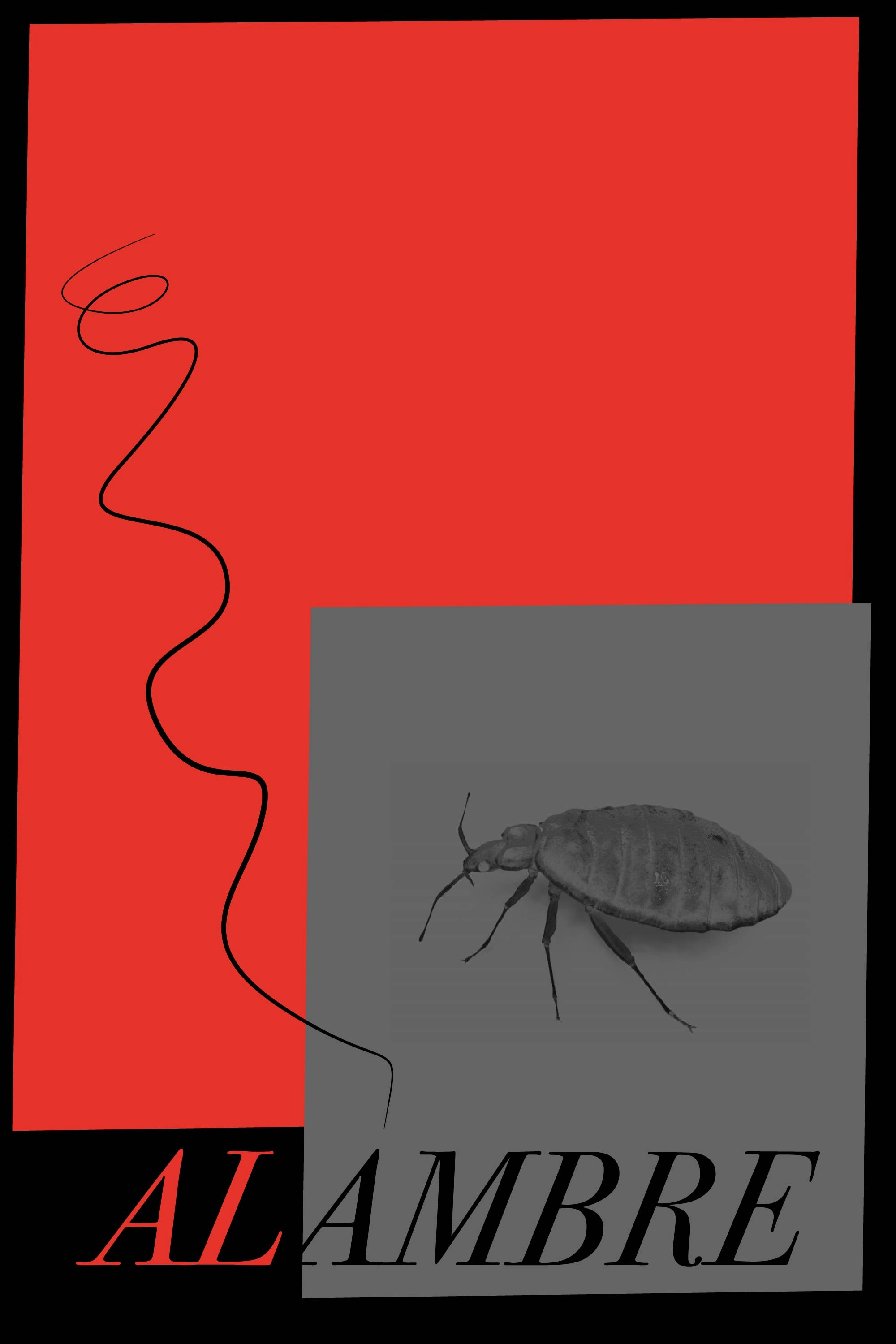 ALAMBRE