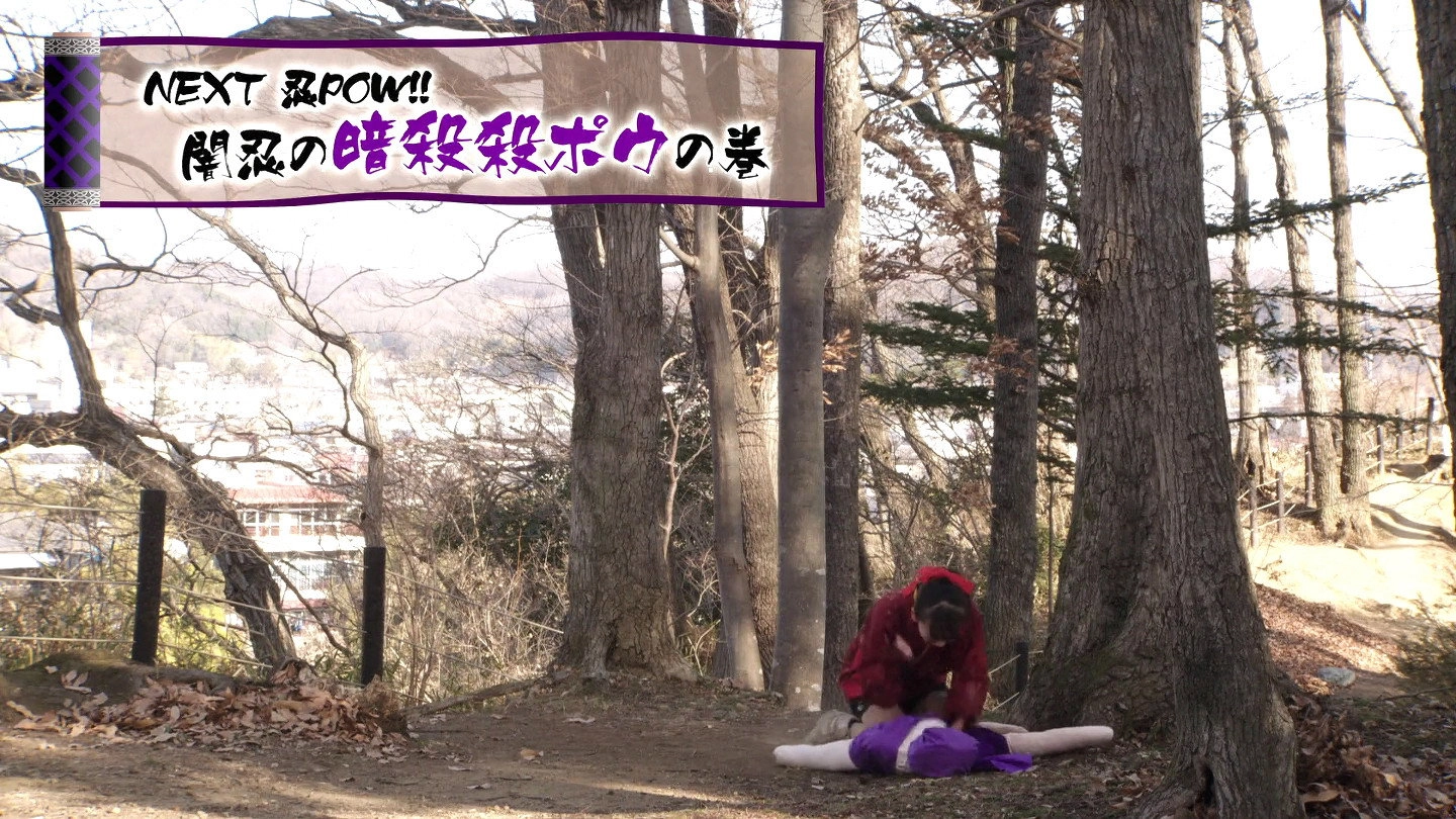 RIDER TIME: Kamen Rider Shinobi