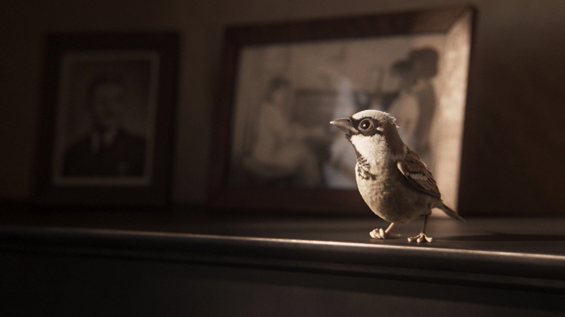A Sparrow's Song