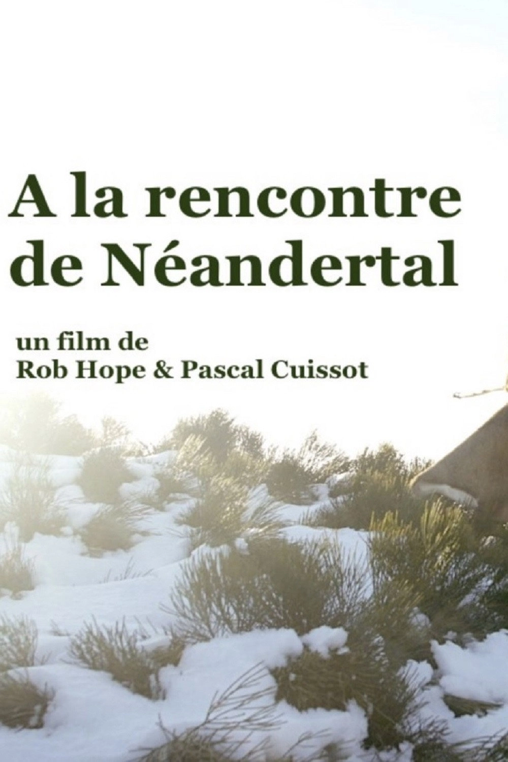Meeting Neanderthal